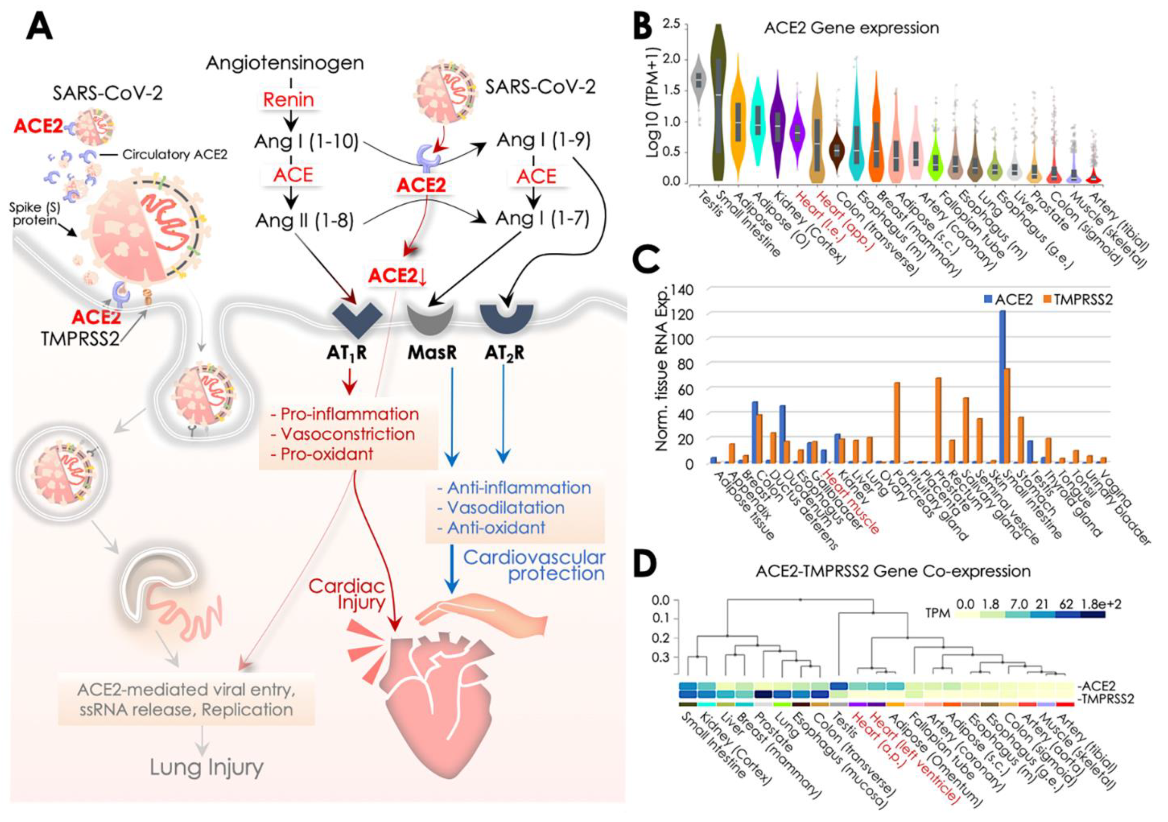 Pathogens 09 00546 g002 Pathogens 09 00546 g002
