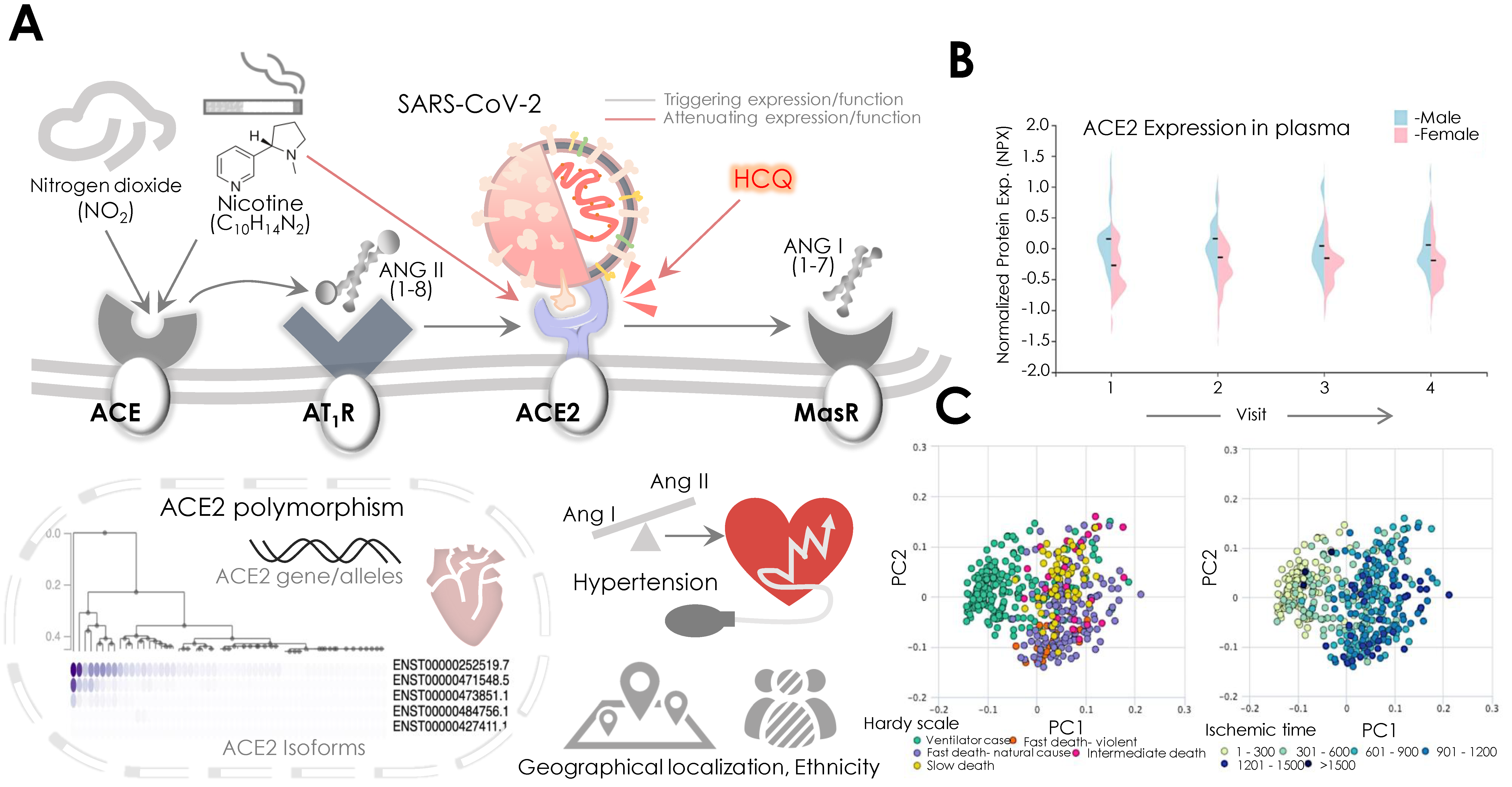 Pathogens 09 00546 g004 Pathogens 09 00546 g004