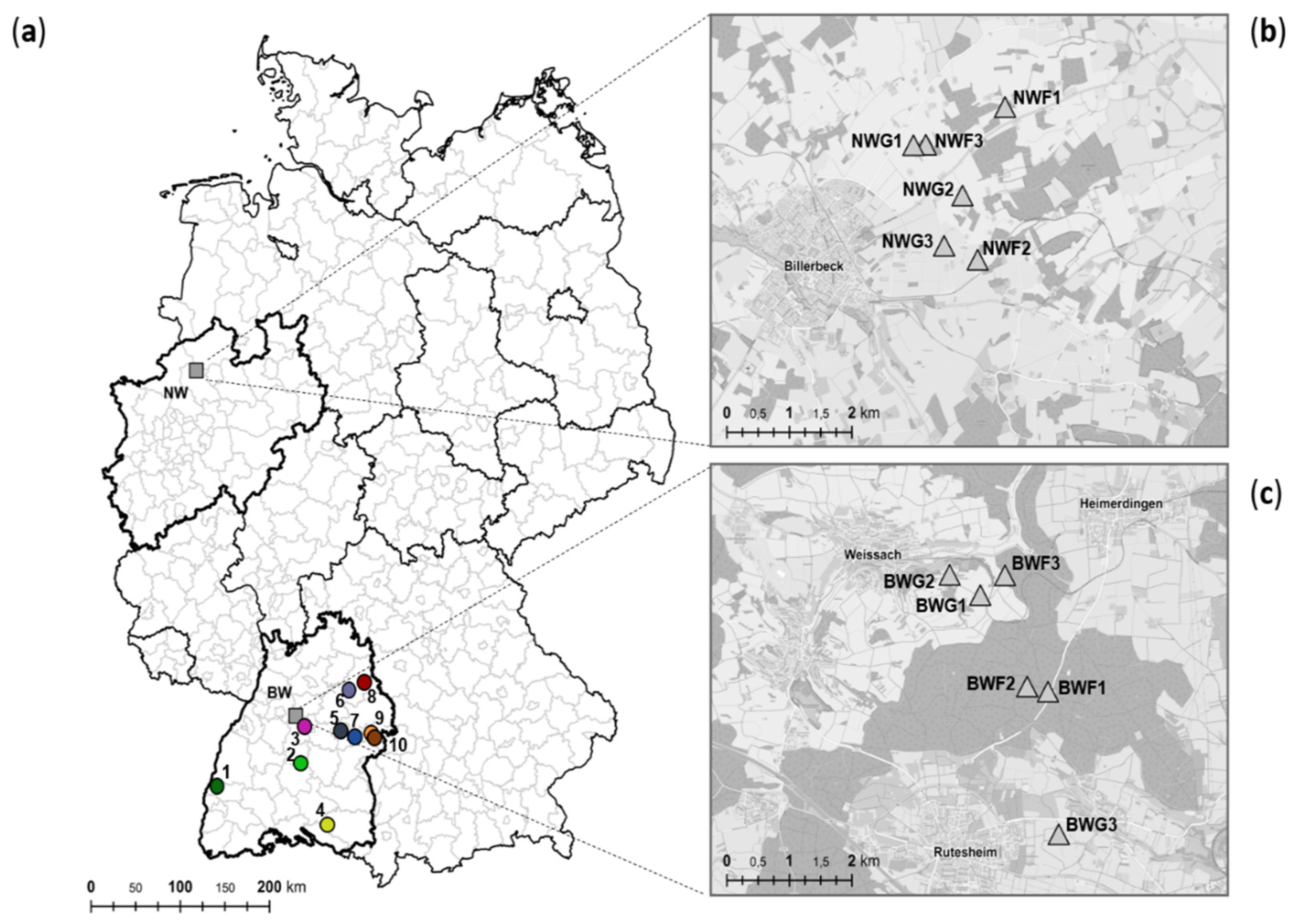Pathogens 09 00548 g001