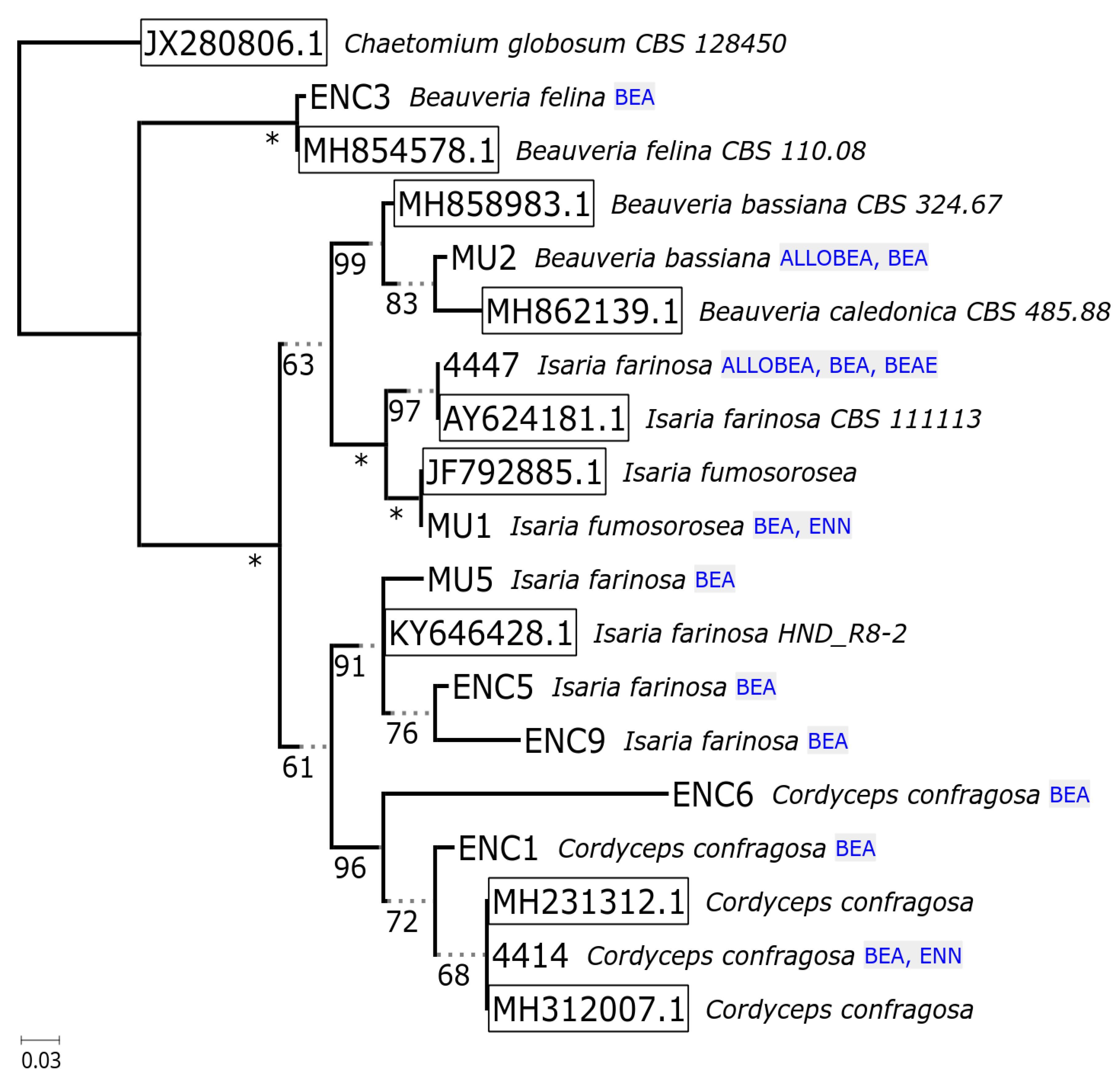 Pathogens 09 00552 g002