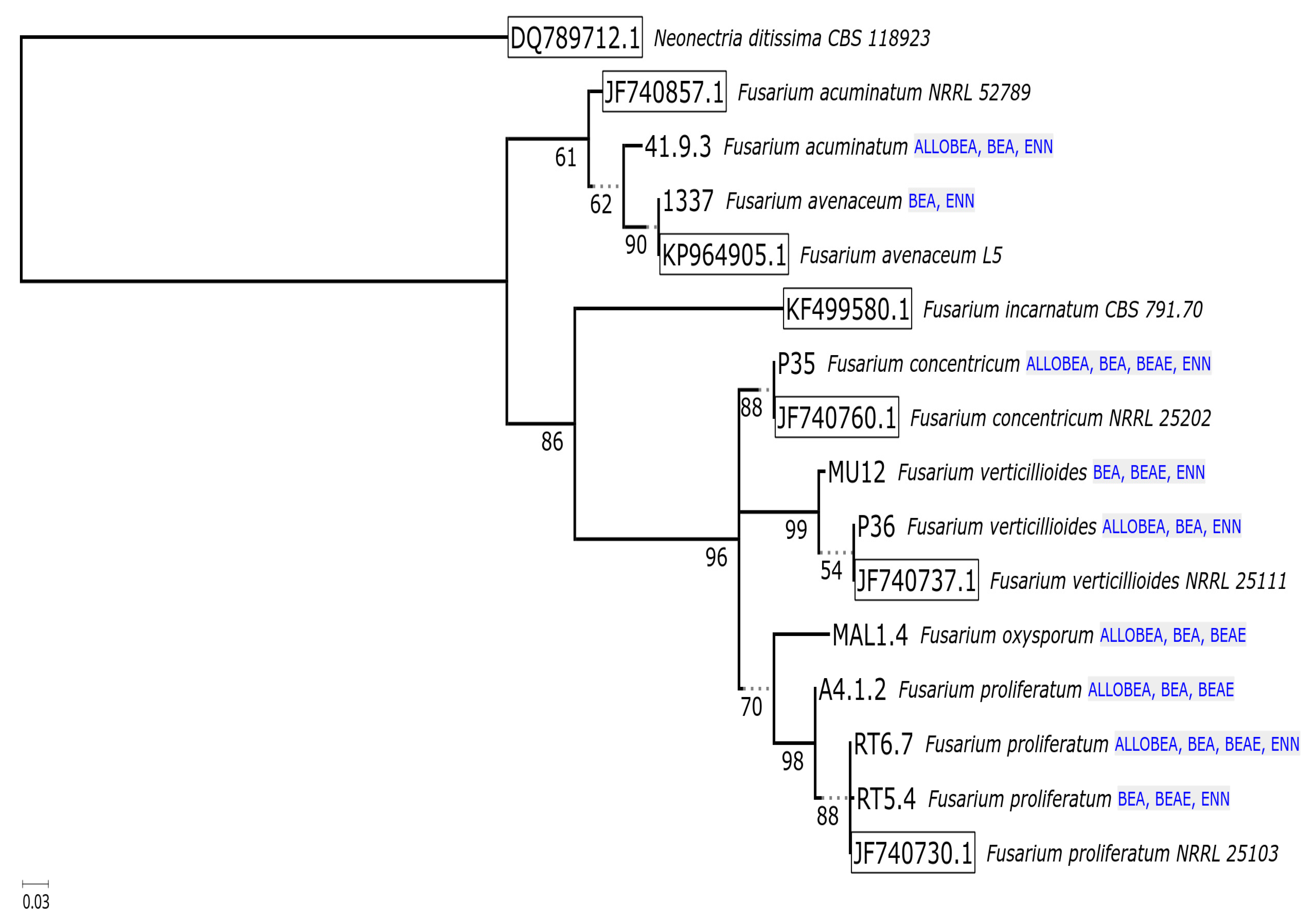Pathogens 09 00552 g003