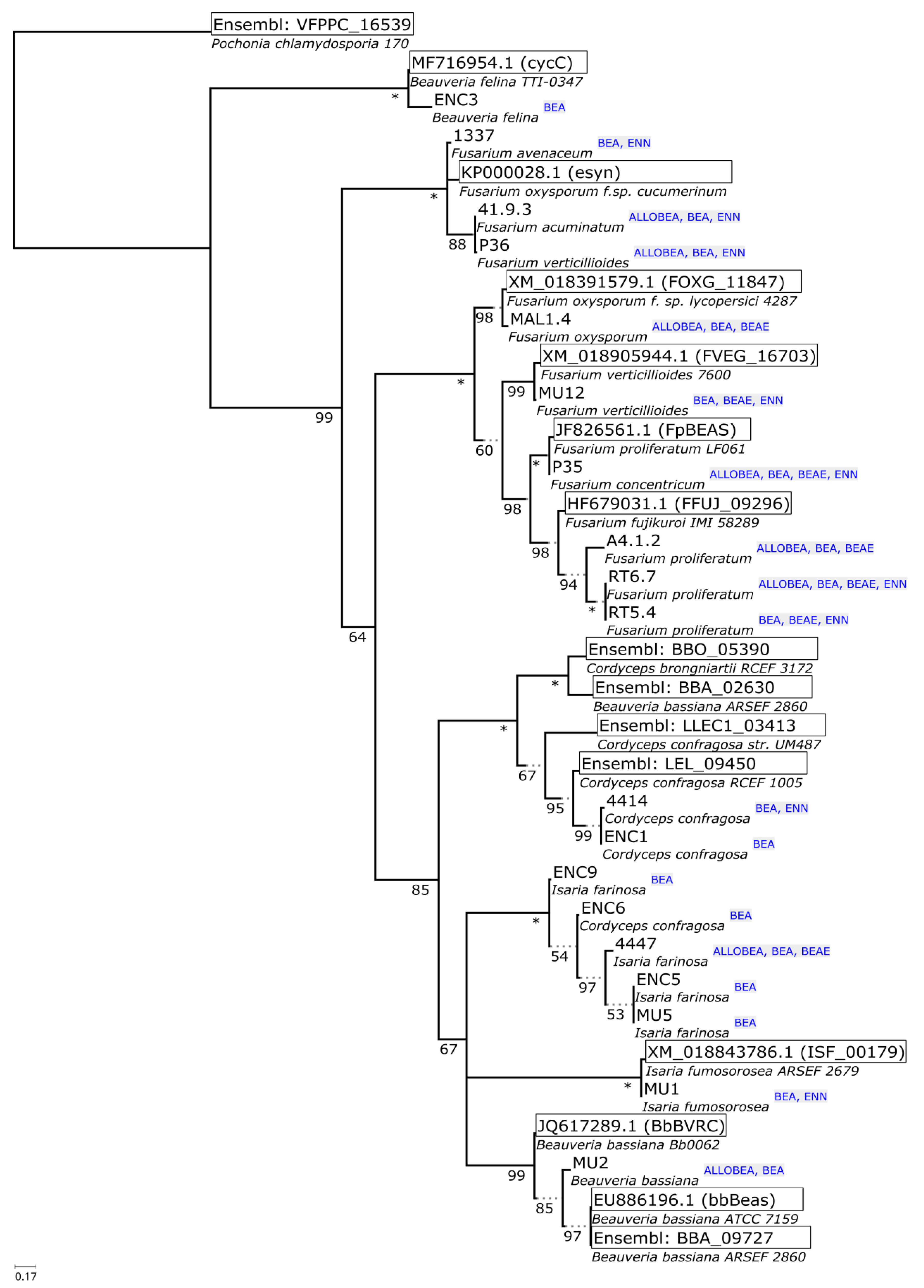 Pathogens 09 00552 g004