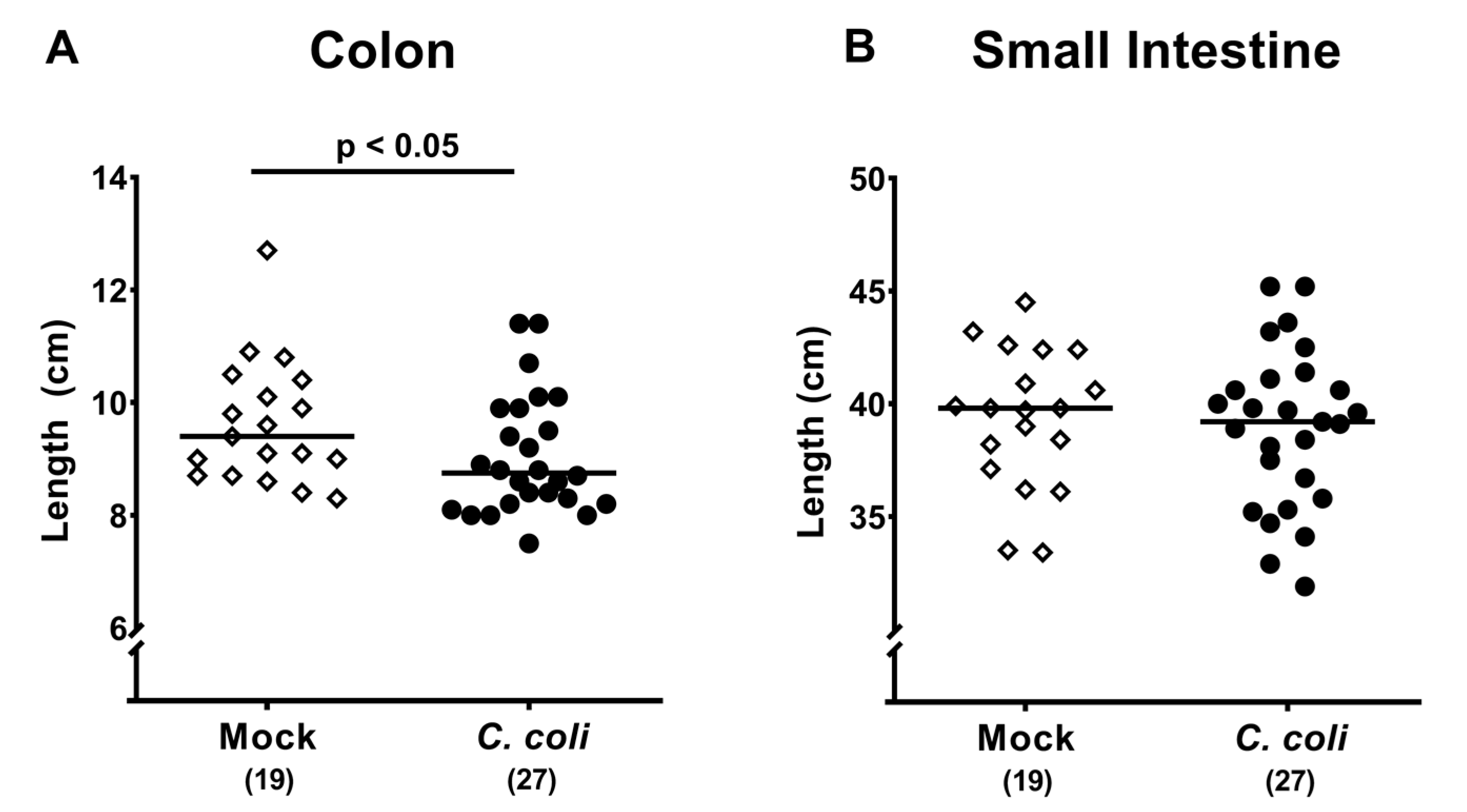 Pathogens 09 00560 g004 Pathogens 09 00560 g004