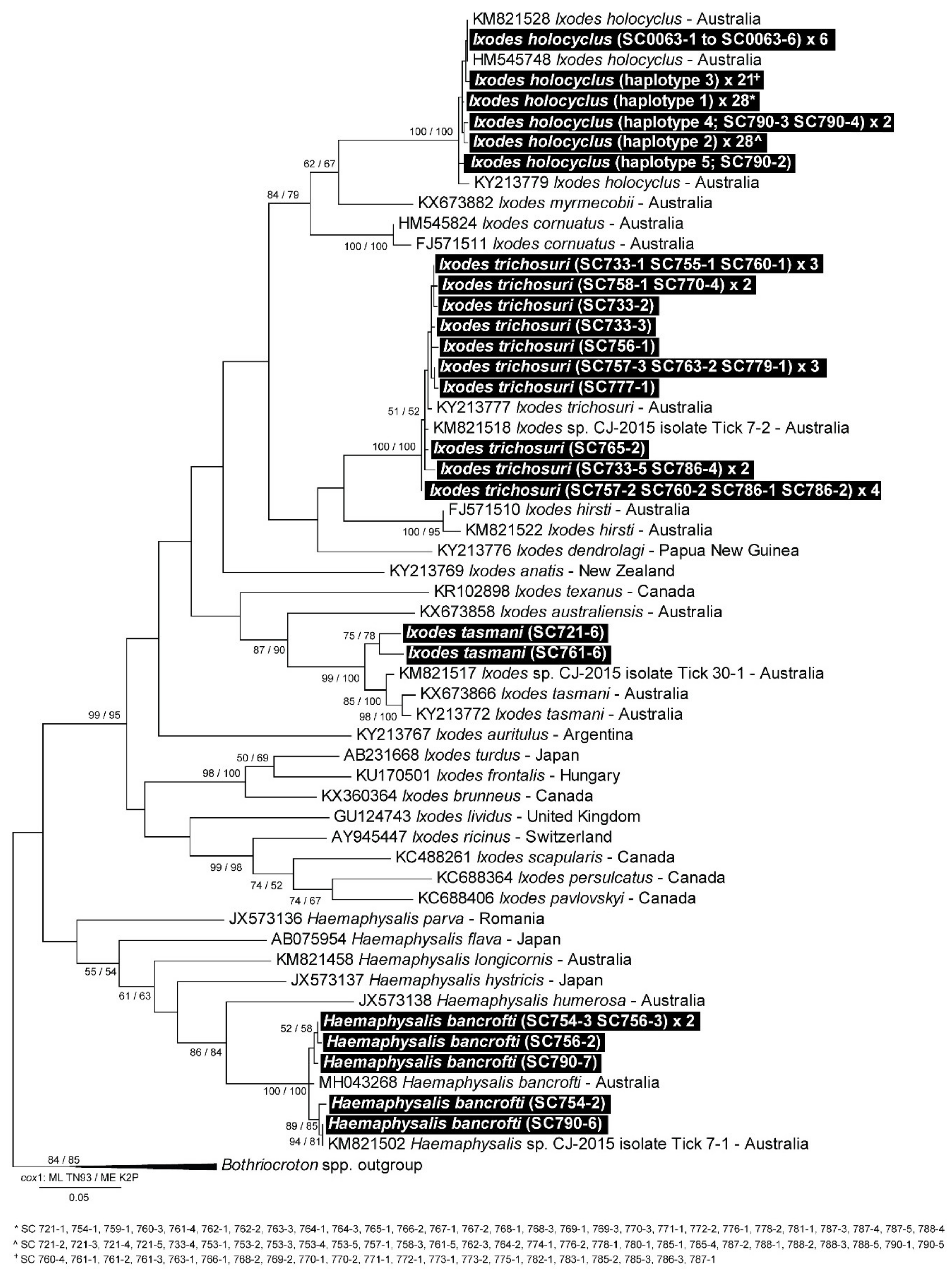 Pathogens 09 00566 g002