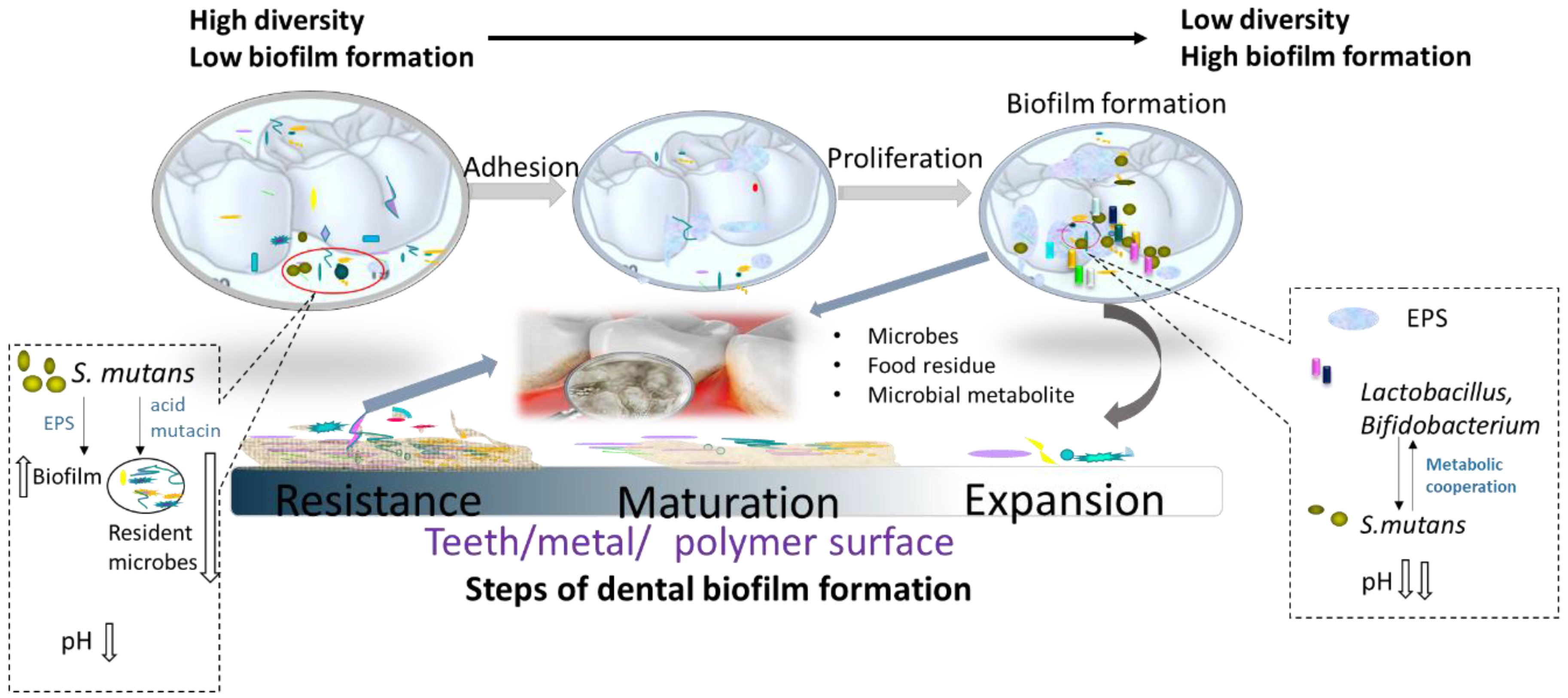 Pathogens 09 00569 g001
