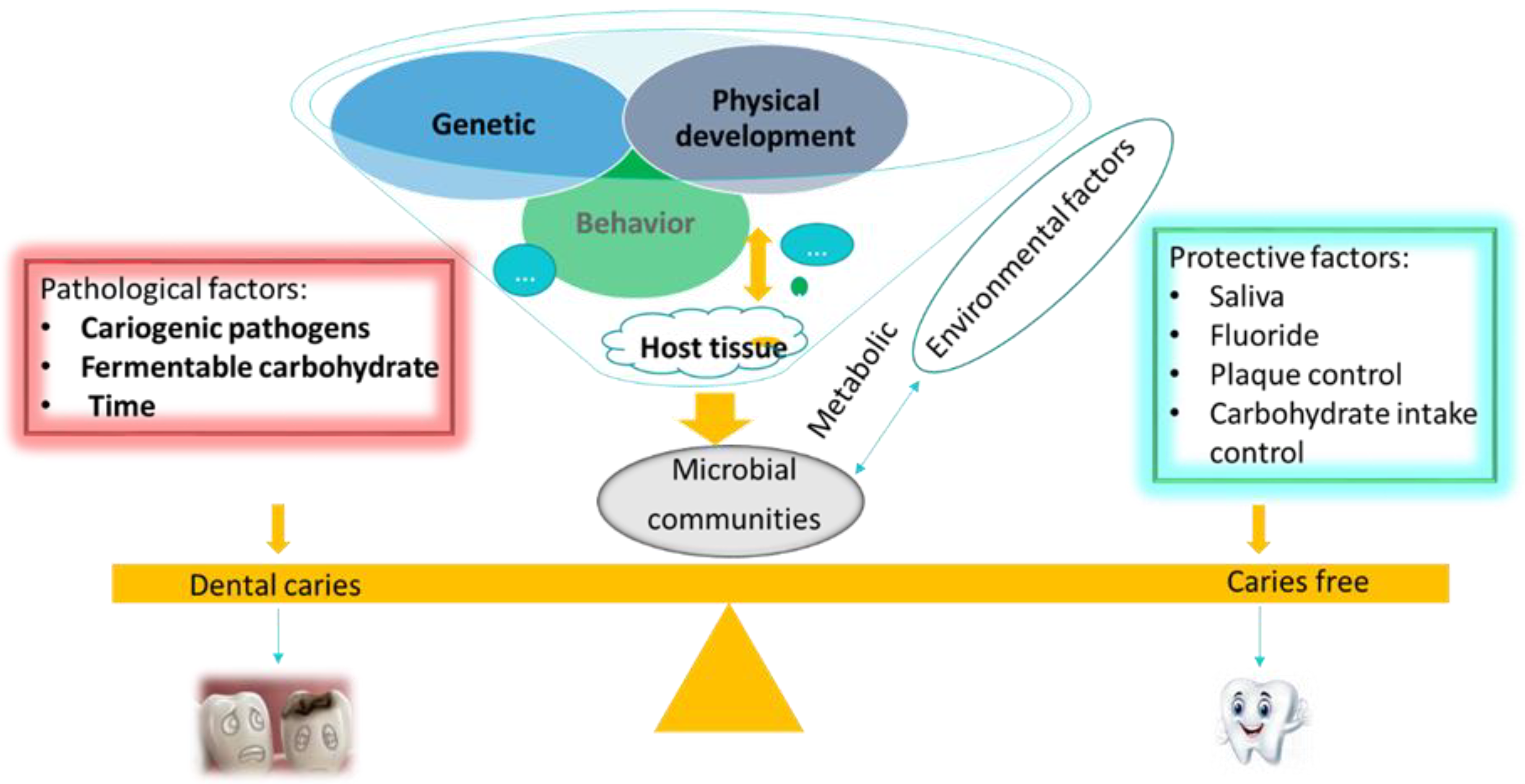 Pathogens 09 00569 g002
