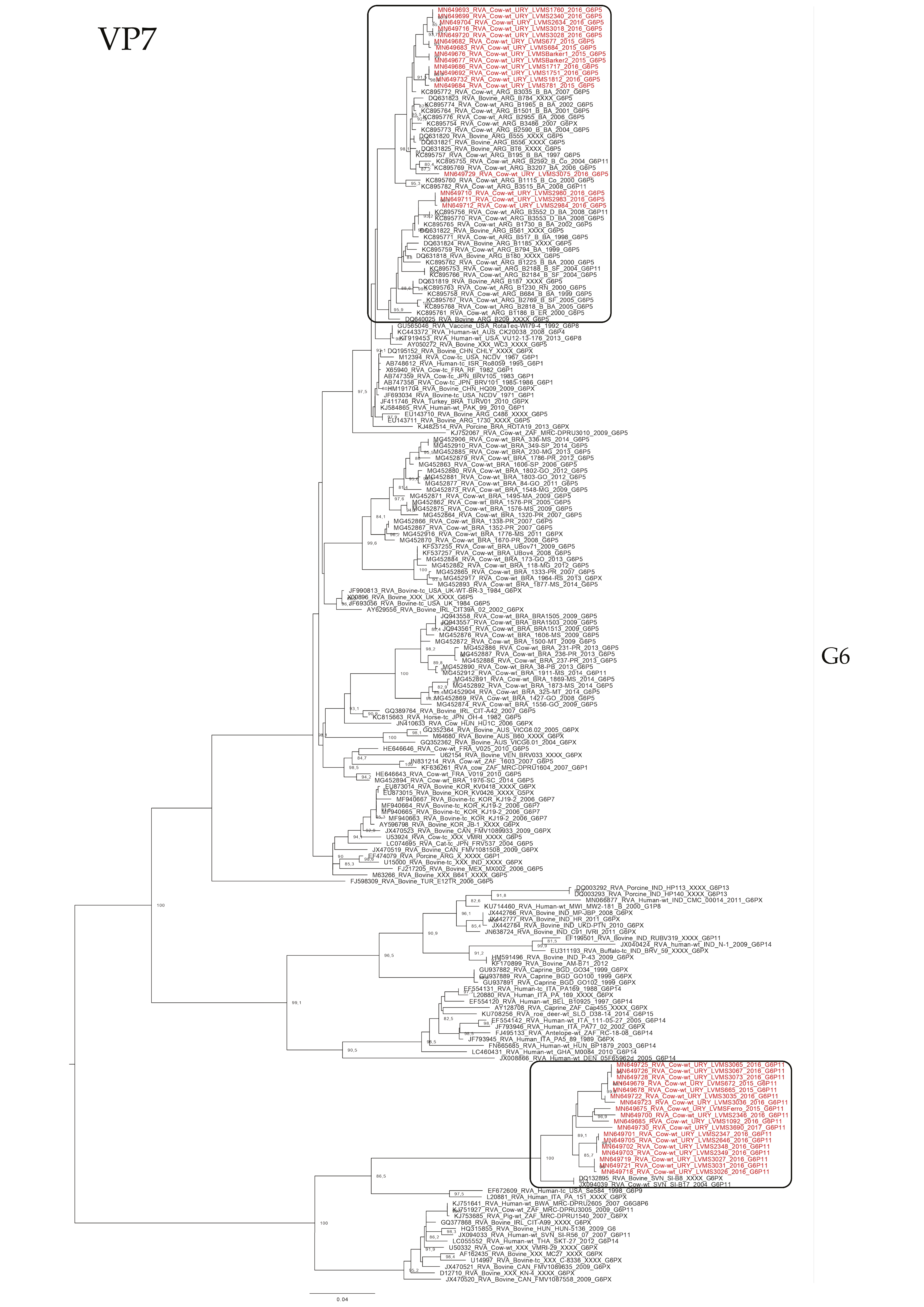 Pathogens 09 00570 g002