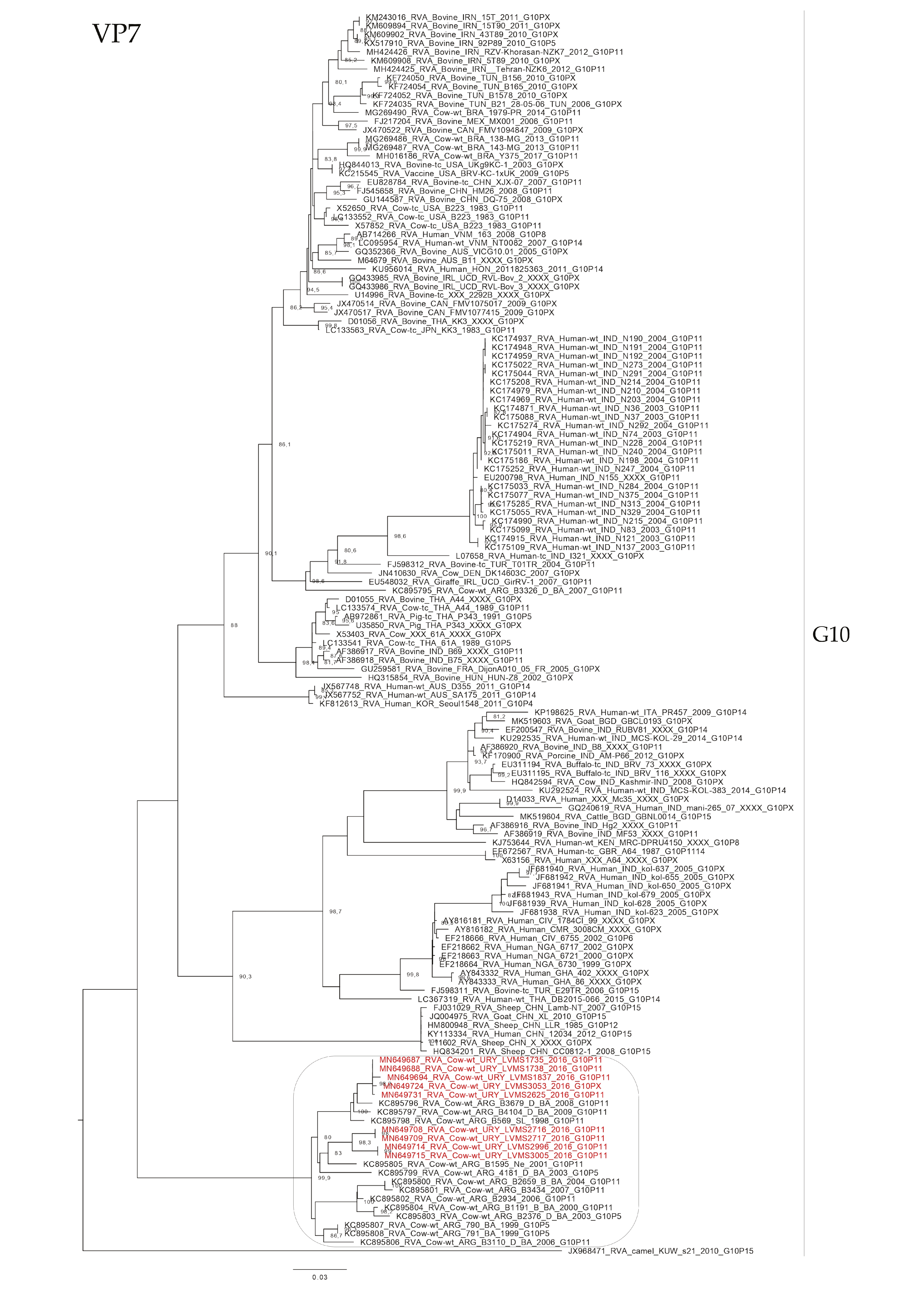 Pathogens 09 00570 g003