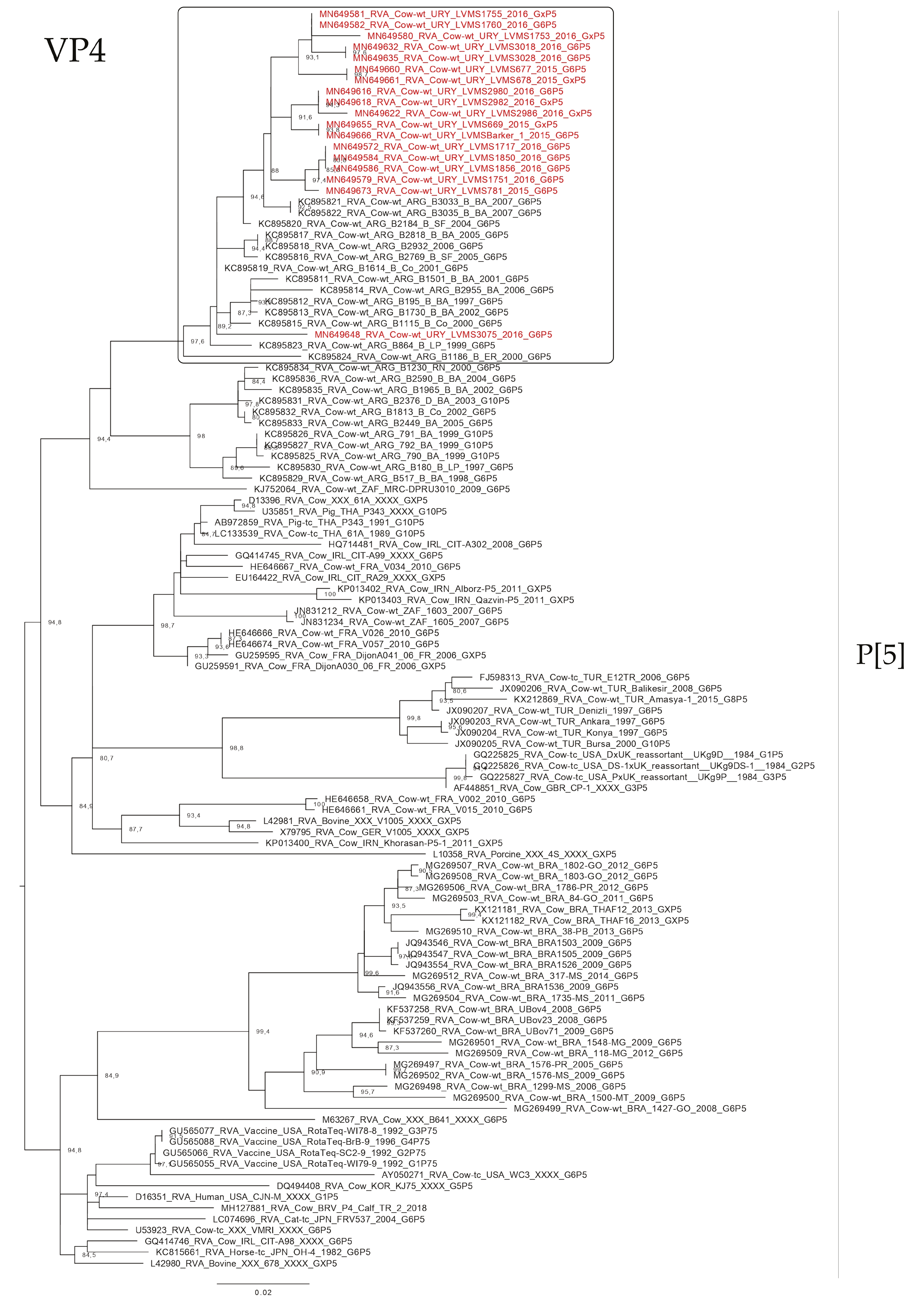 Pathogens 09 00570 g004