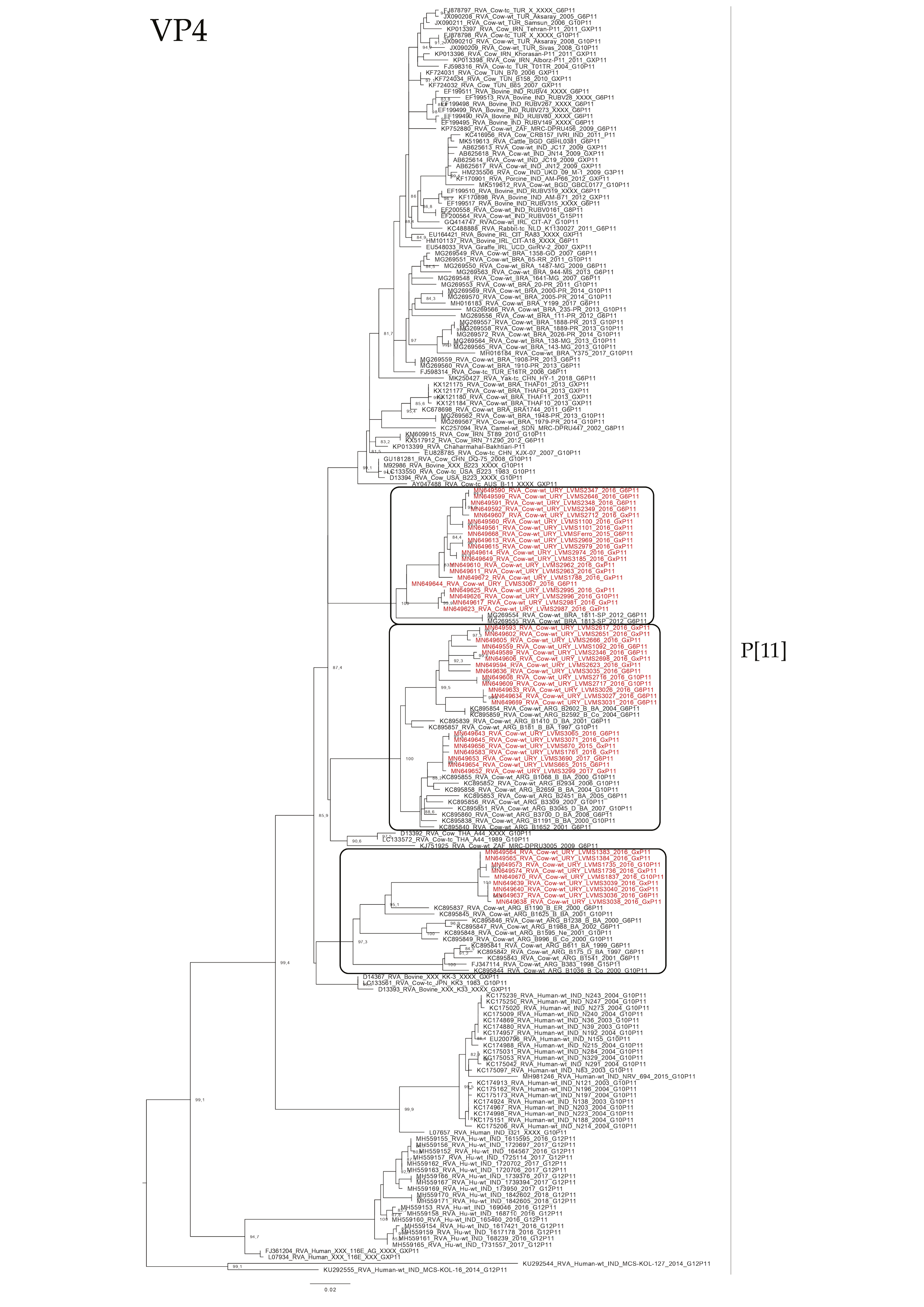 Pathogens 09 00570 g005