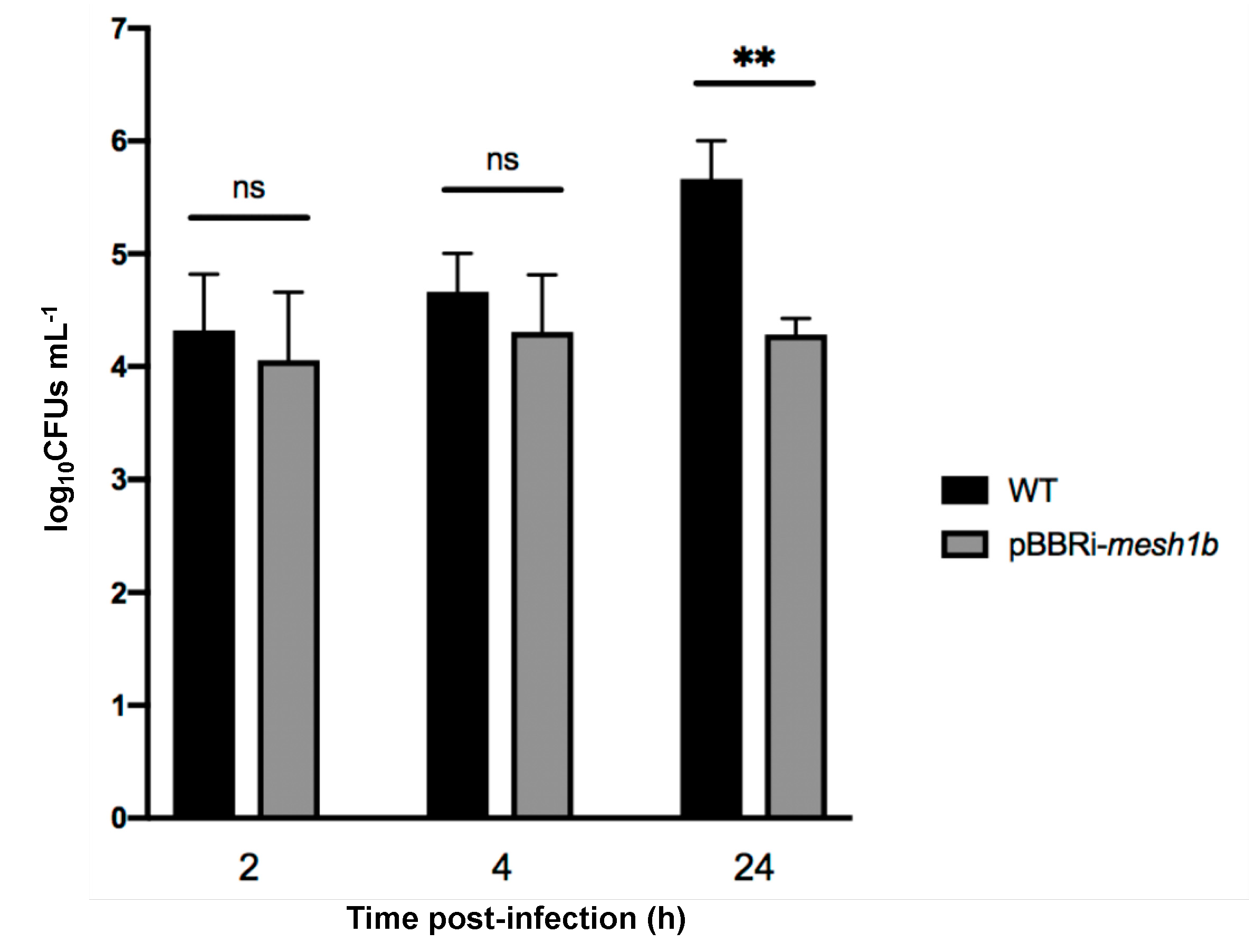 Pathogens 09 00571 g004 Pathogens 09 00571 g004