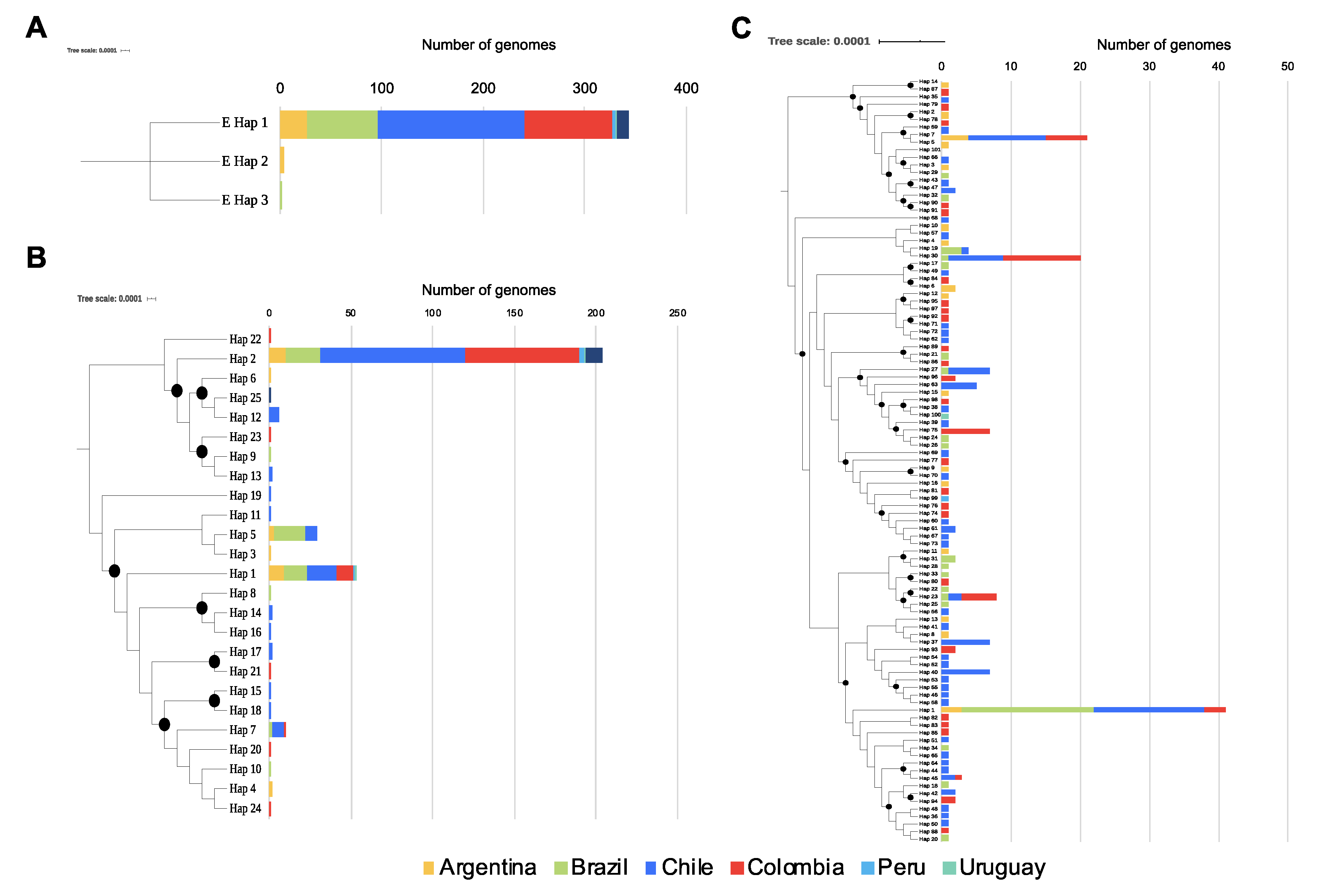 Pathogens 09 00580 g001