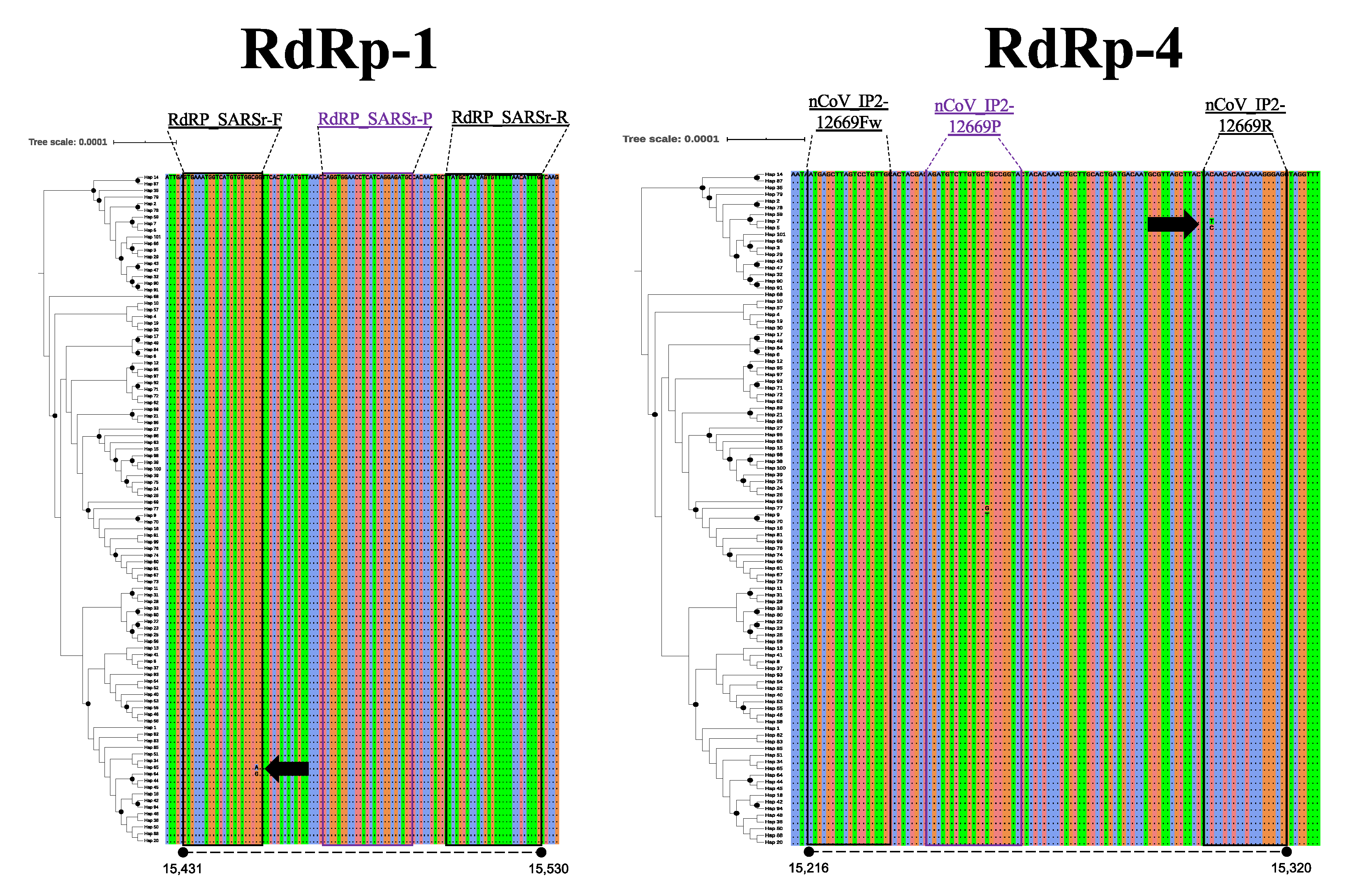 Pathogens 09 00580 g003