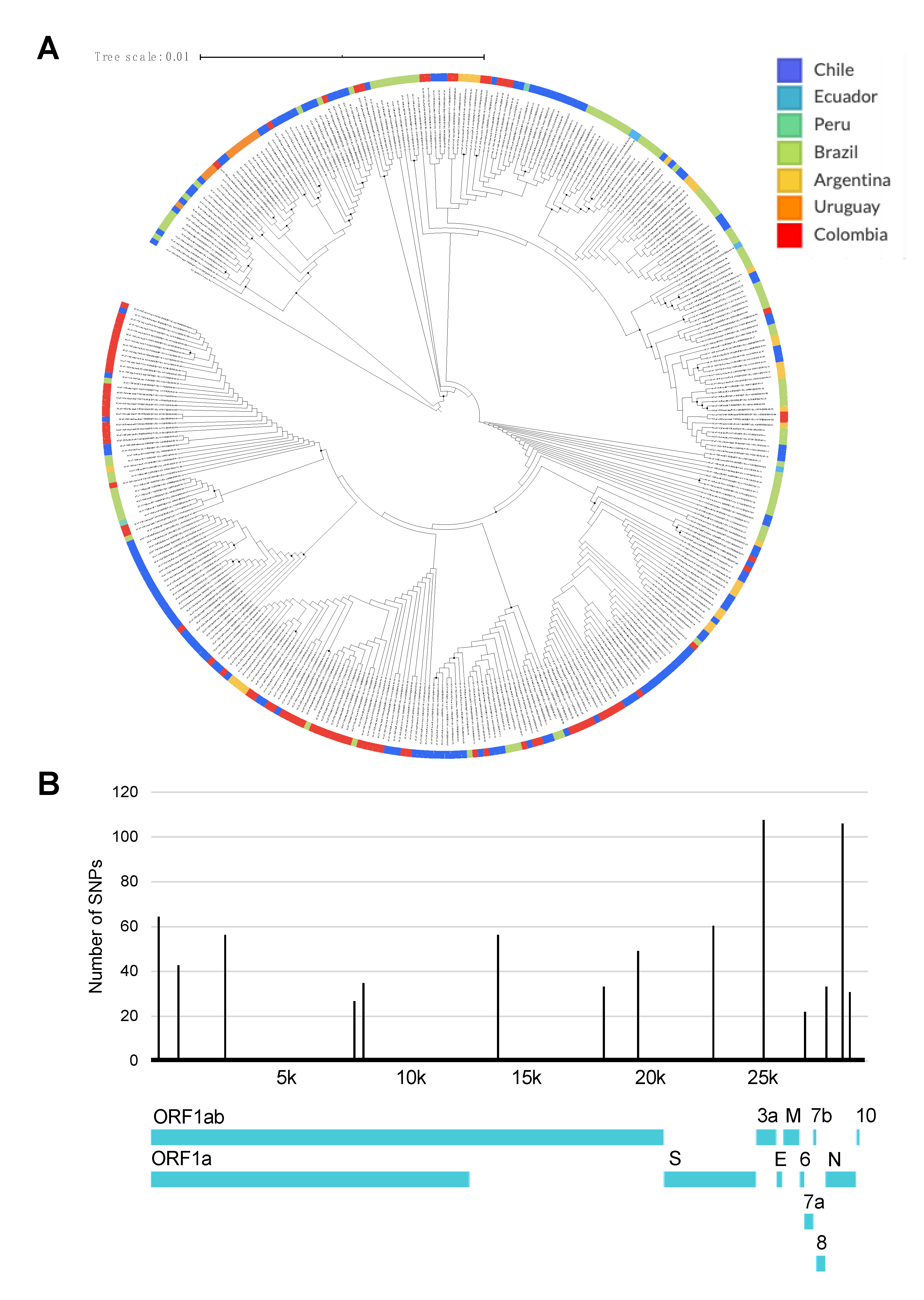 Pathogens 09 00580 g004