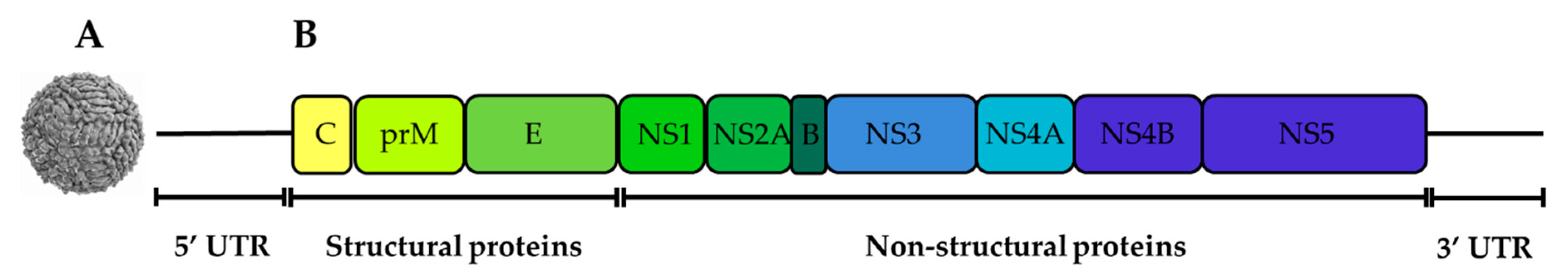 Pathogens 09 00589 g001