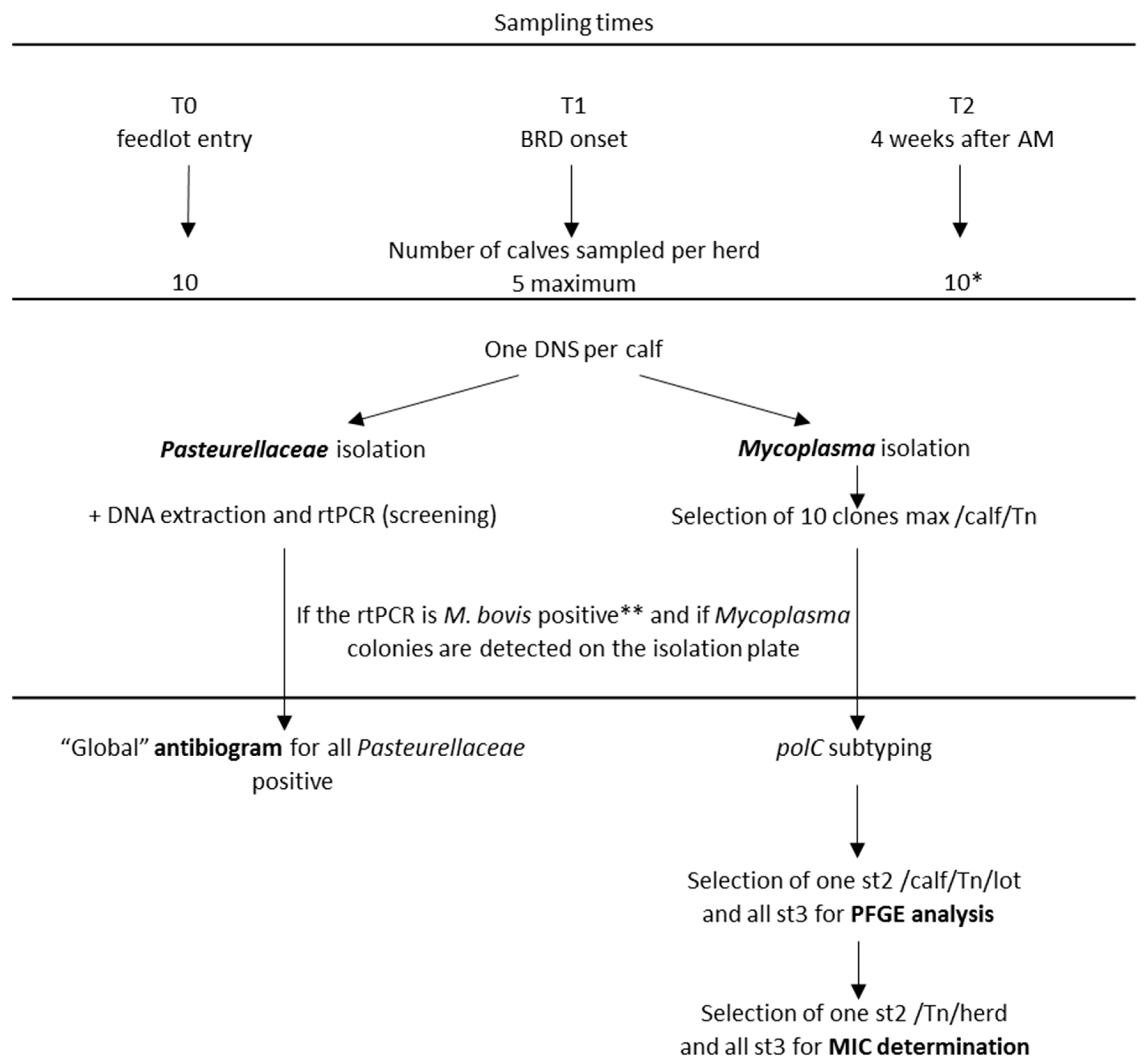 Pathogens 09 00593 g001