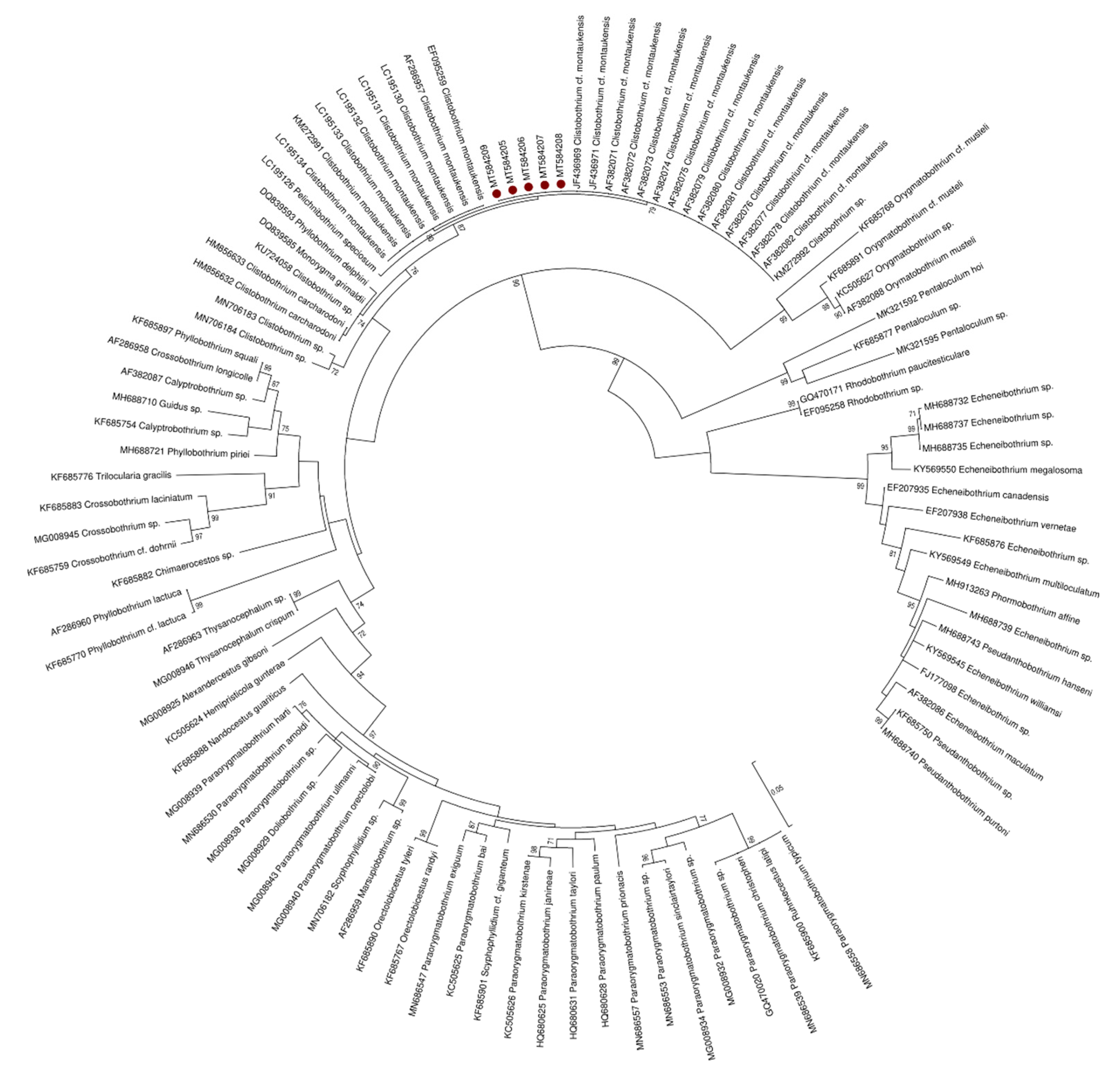 Pathogens 09 00596 g003