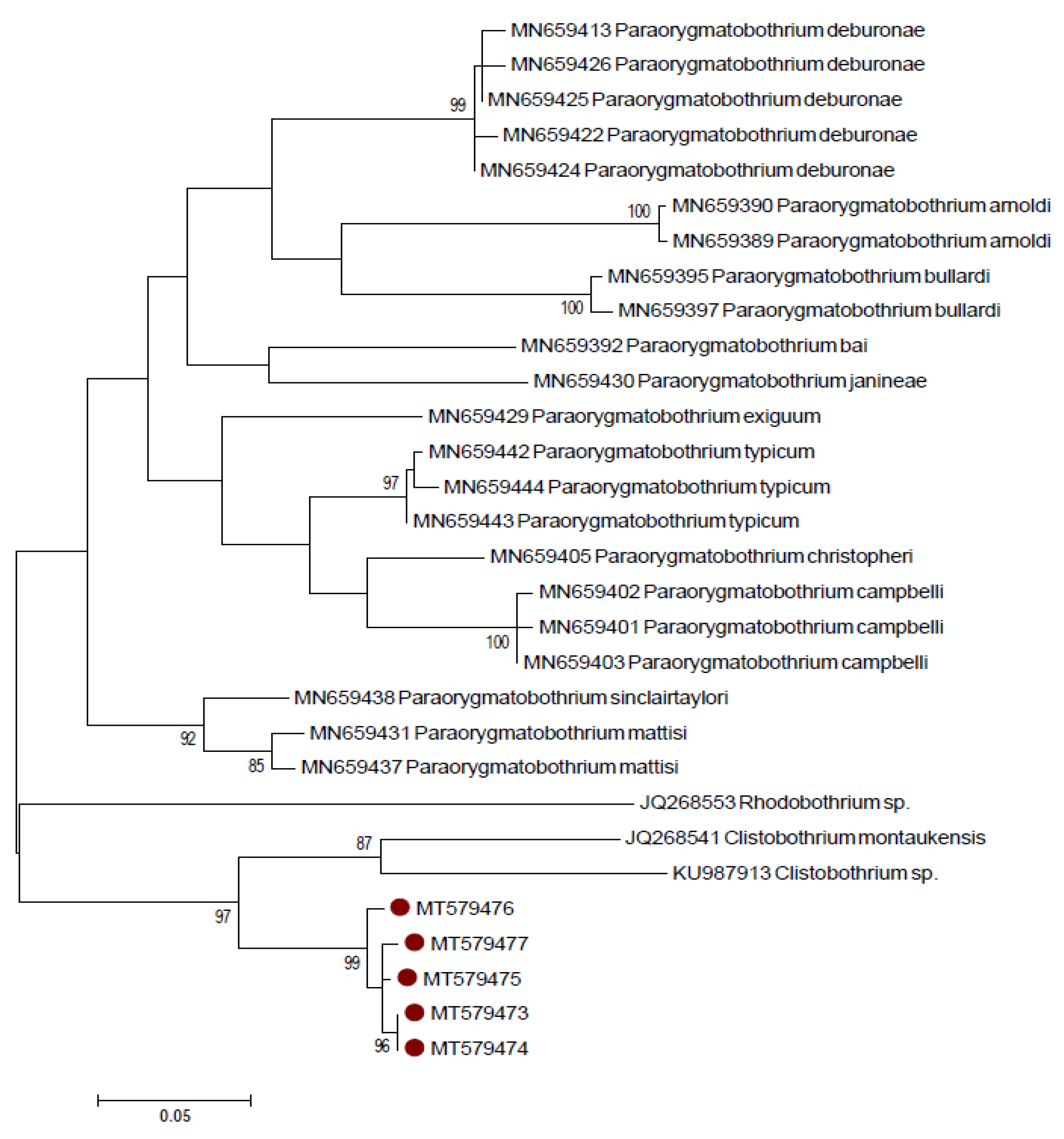 Pathogens 09 00596 g004