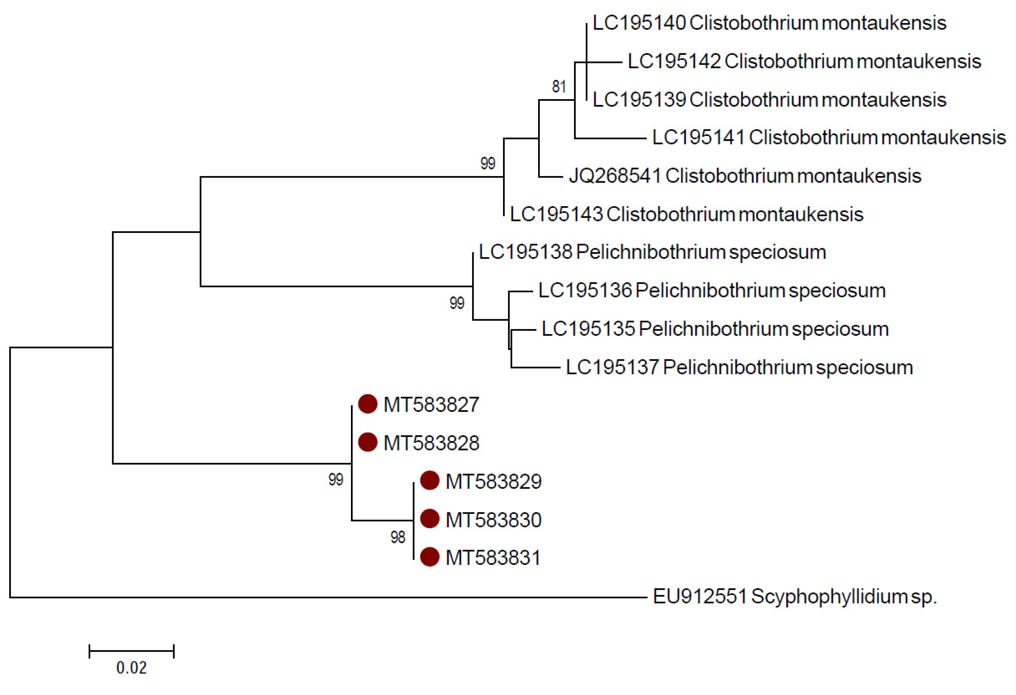 Pathogens 09 00596 g005