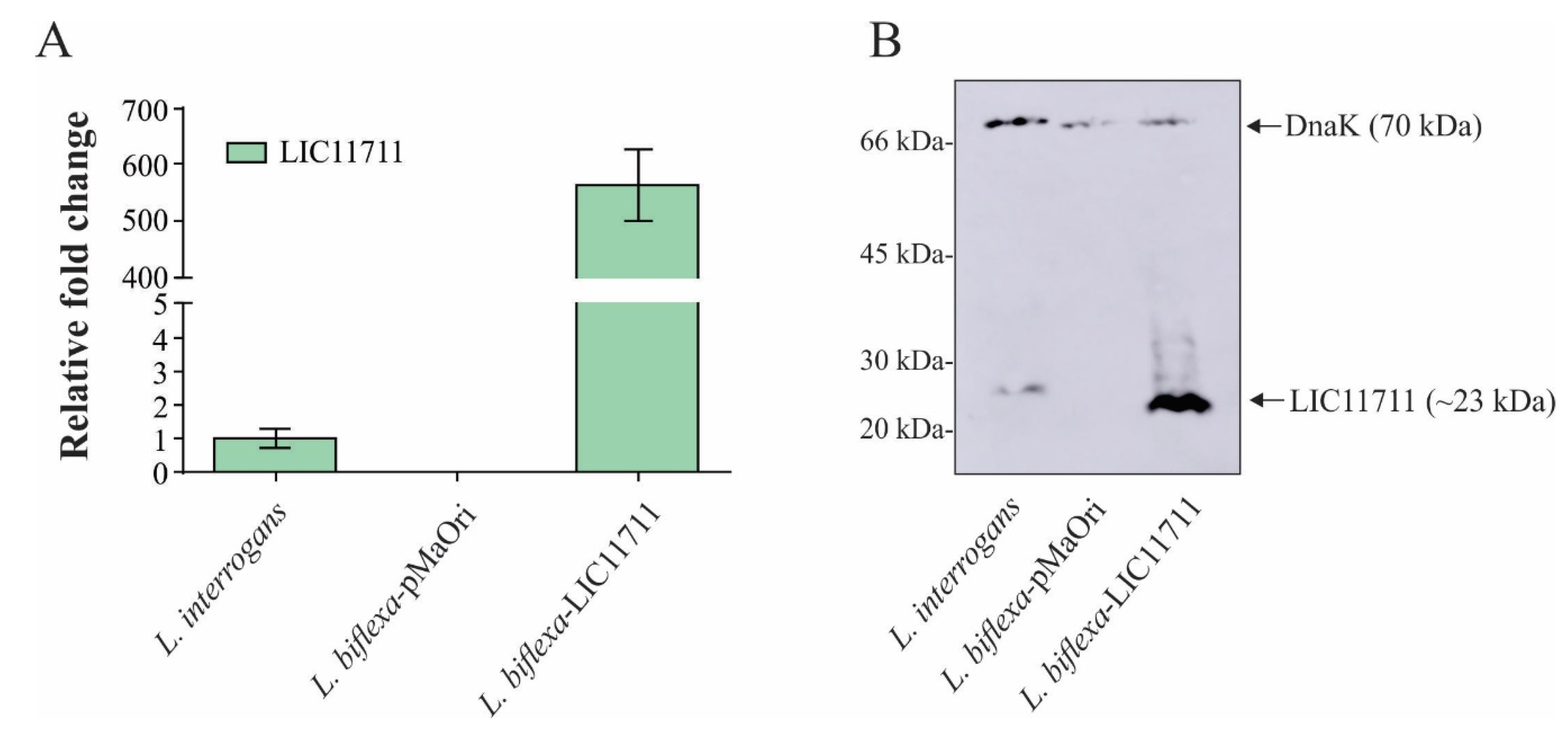 Pathogens 09 00599 g002