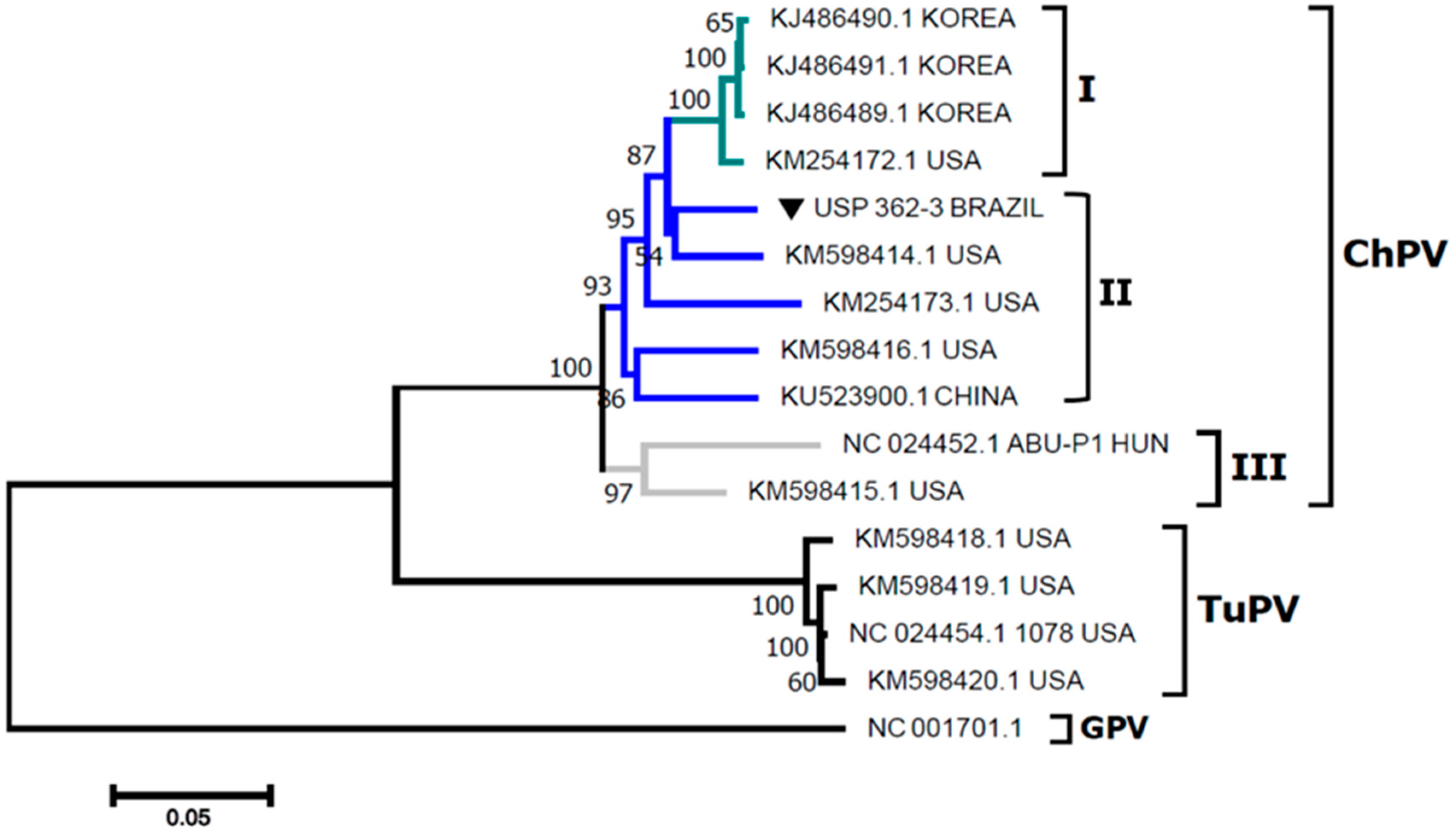 Pathogens 09 00606 g001 Pathogens 09 00606 g001