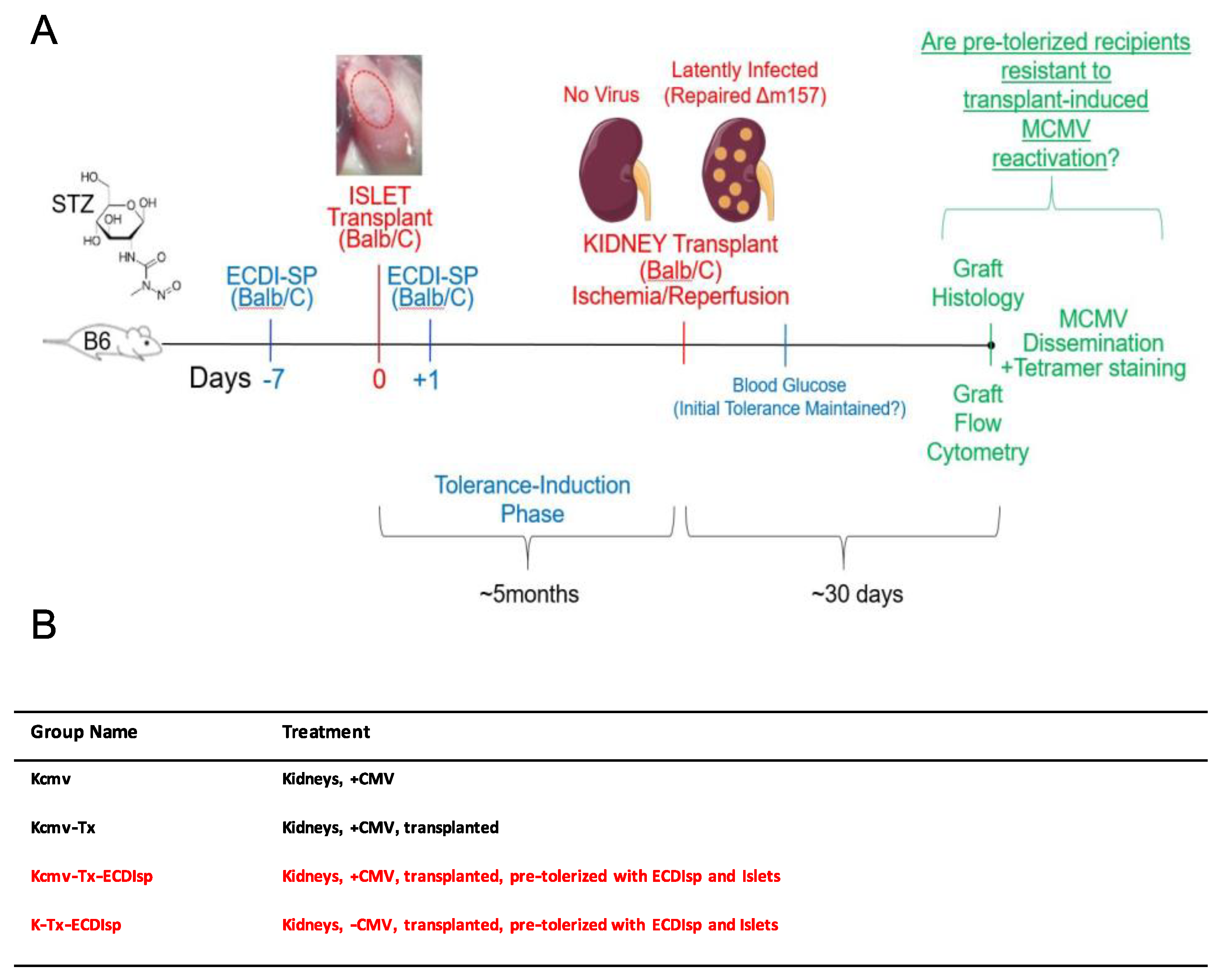 Pathogens 09 00607 g001