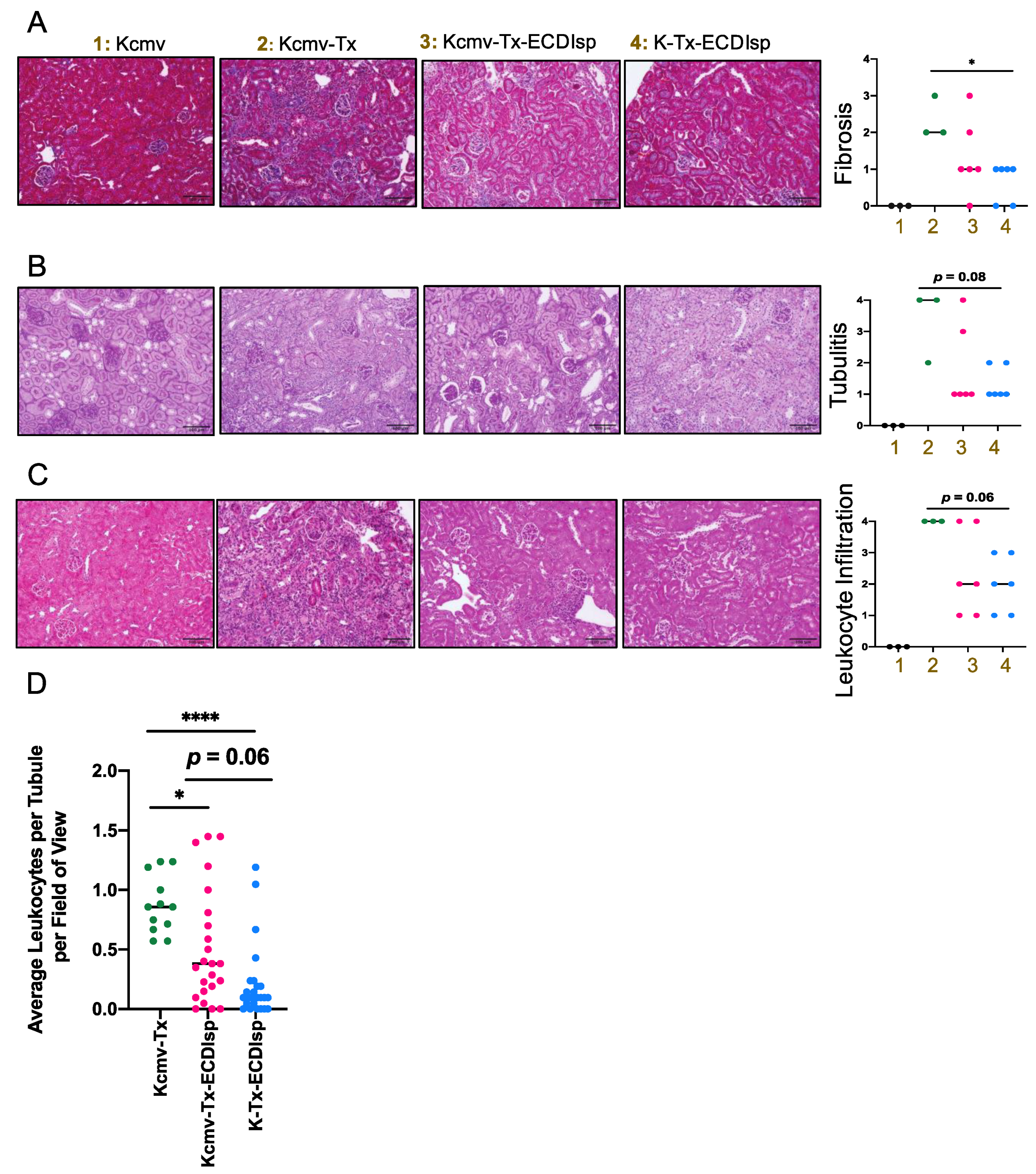 Pathogens 09 00607 g003