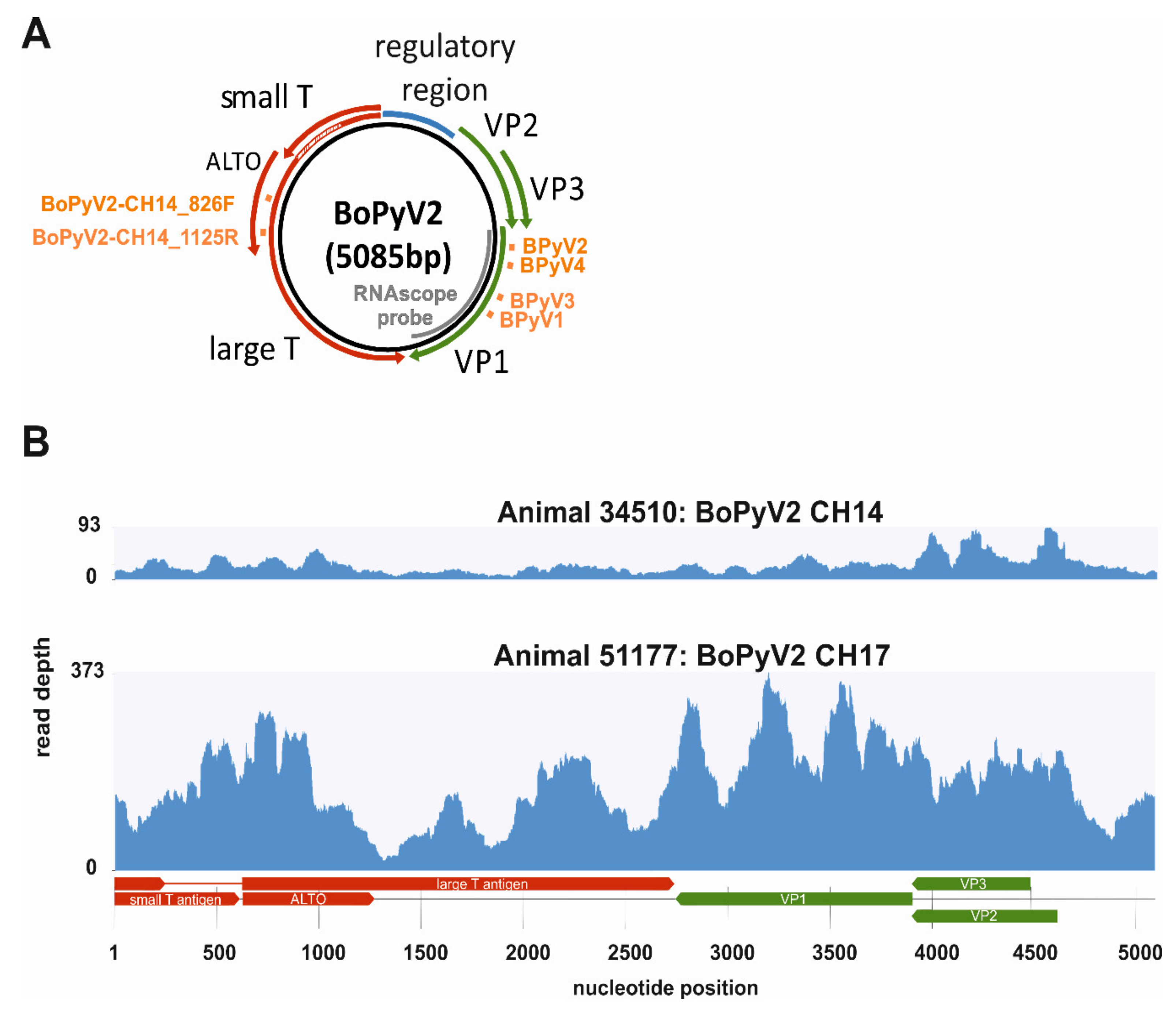 Pathogens 09 00620 g002