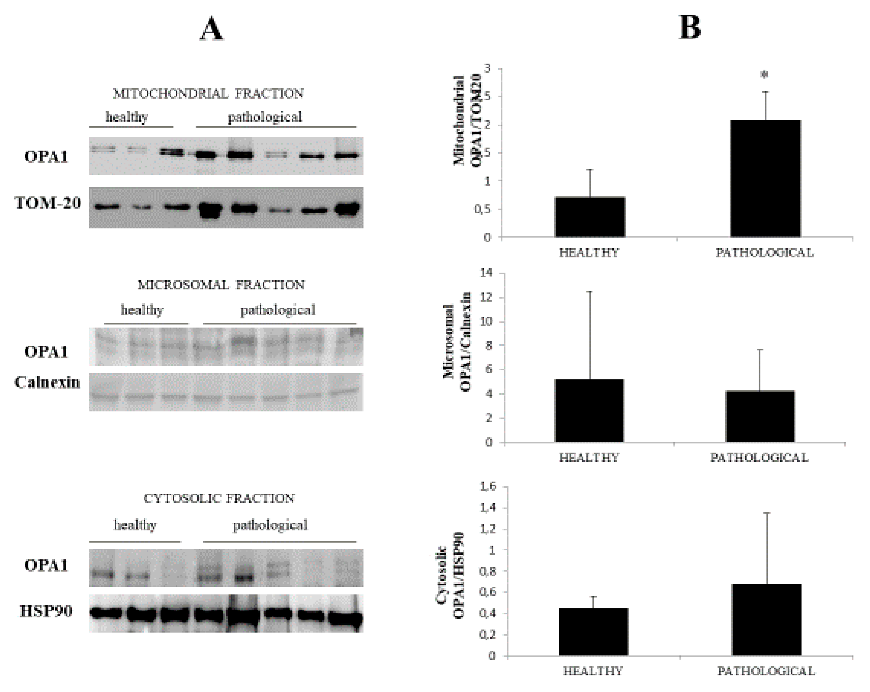 Pathogens 09 00621 g004