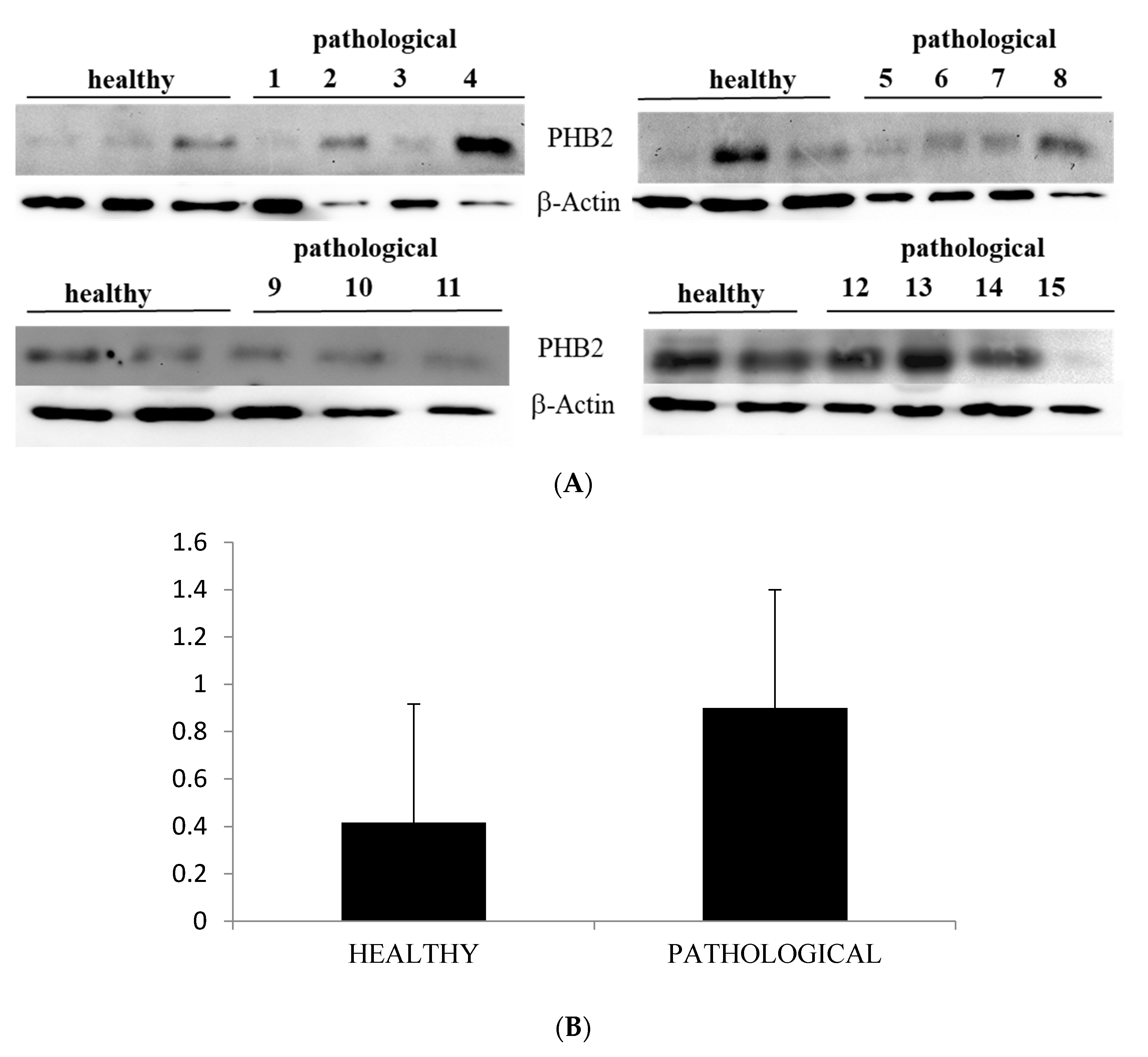 Pathogens 09 00621 g006
