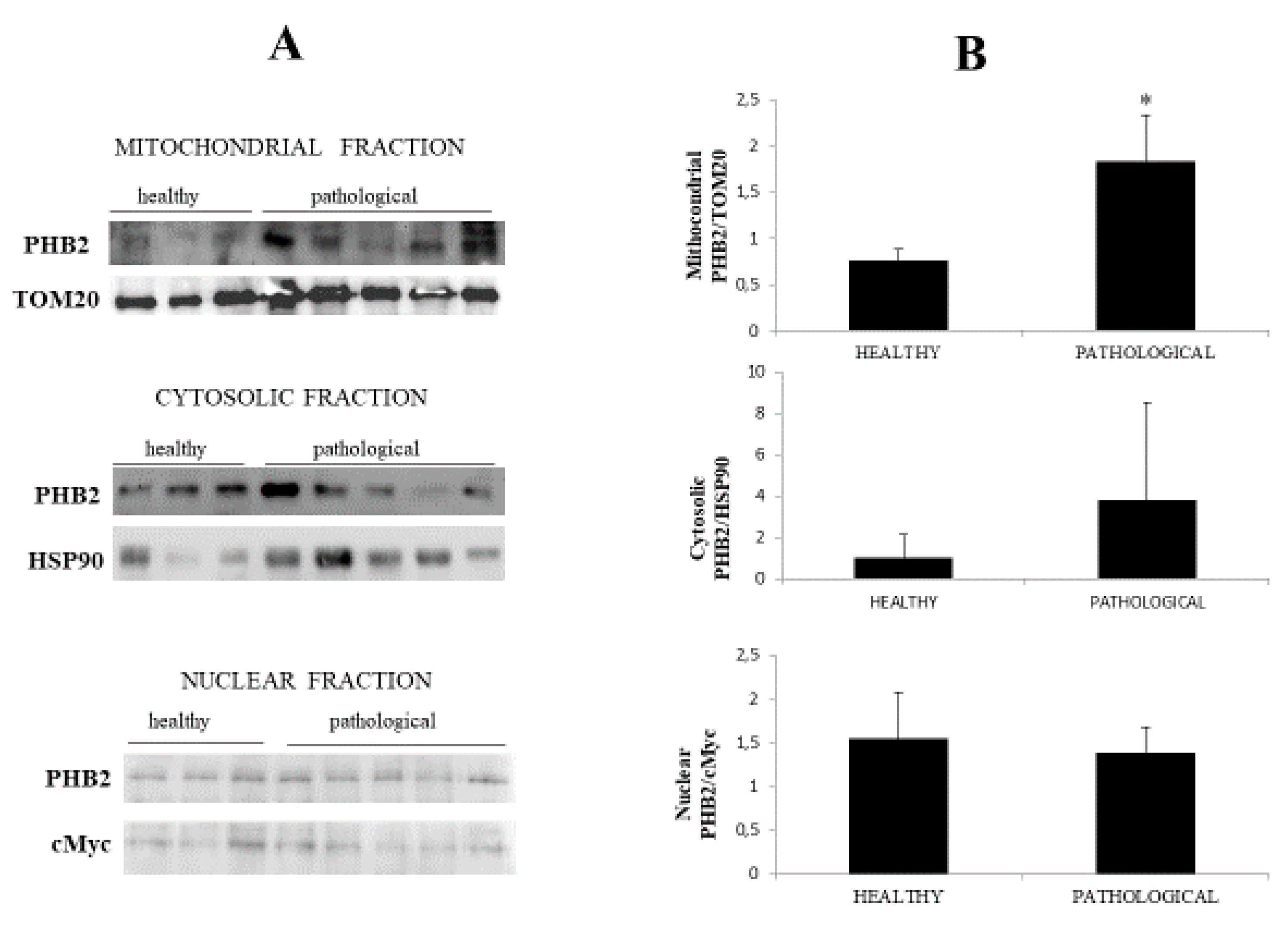 Pathogens 09 00621 g007