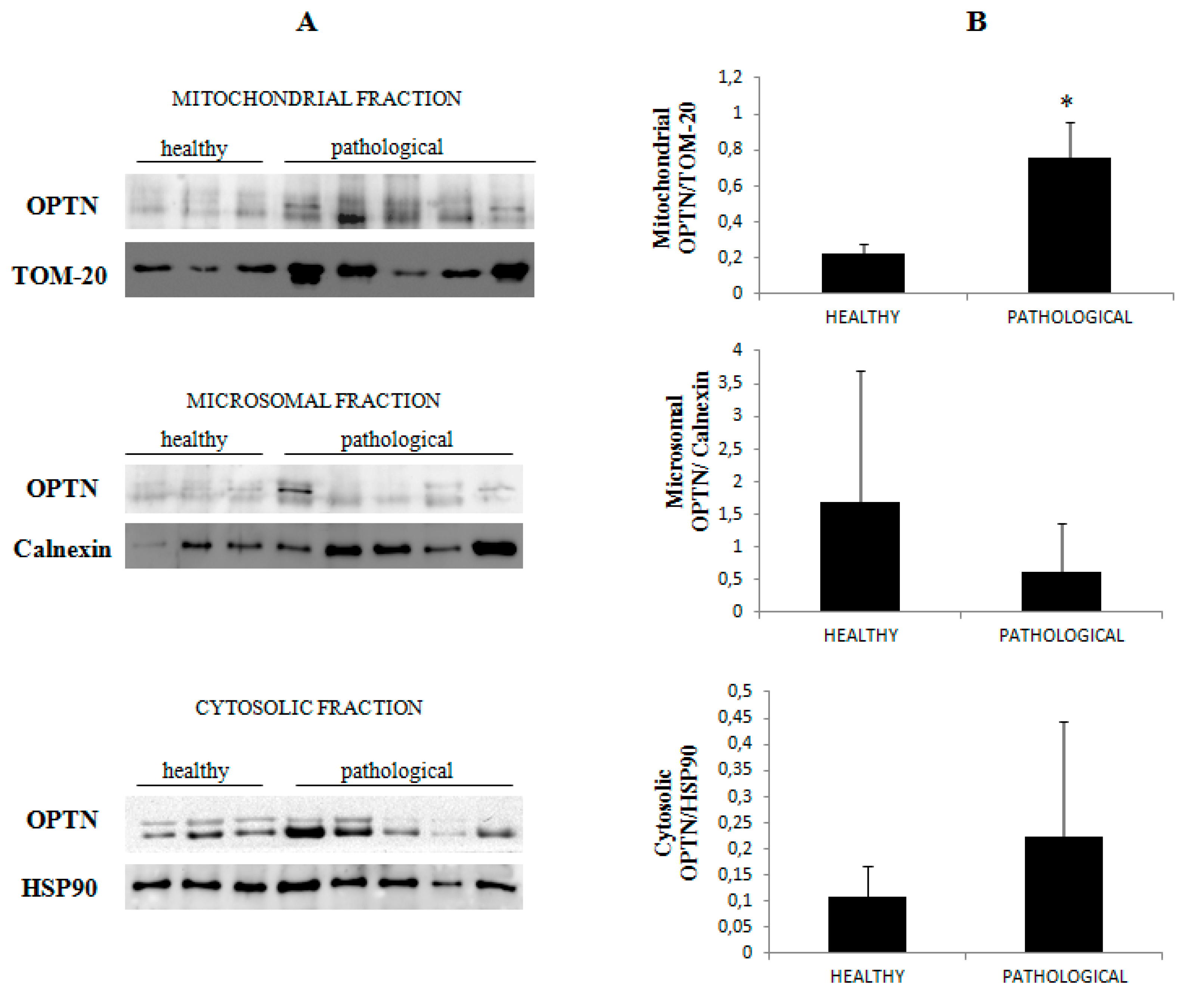 Pathogens 09 00621 g010