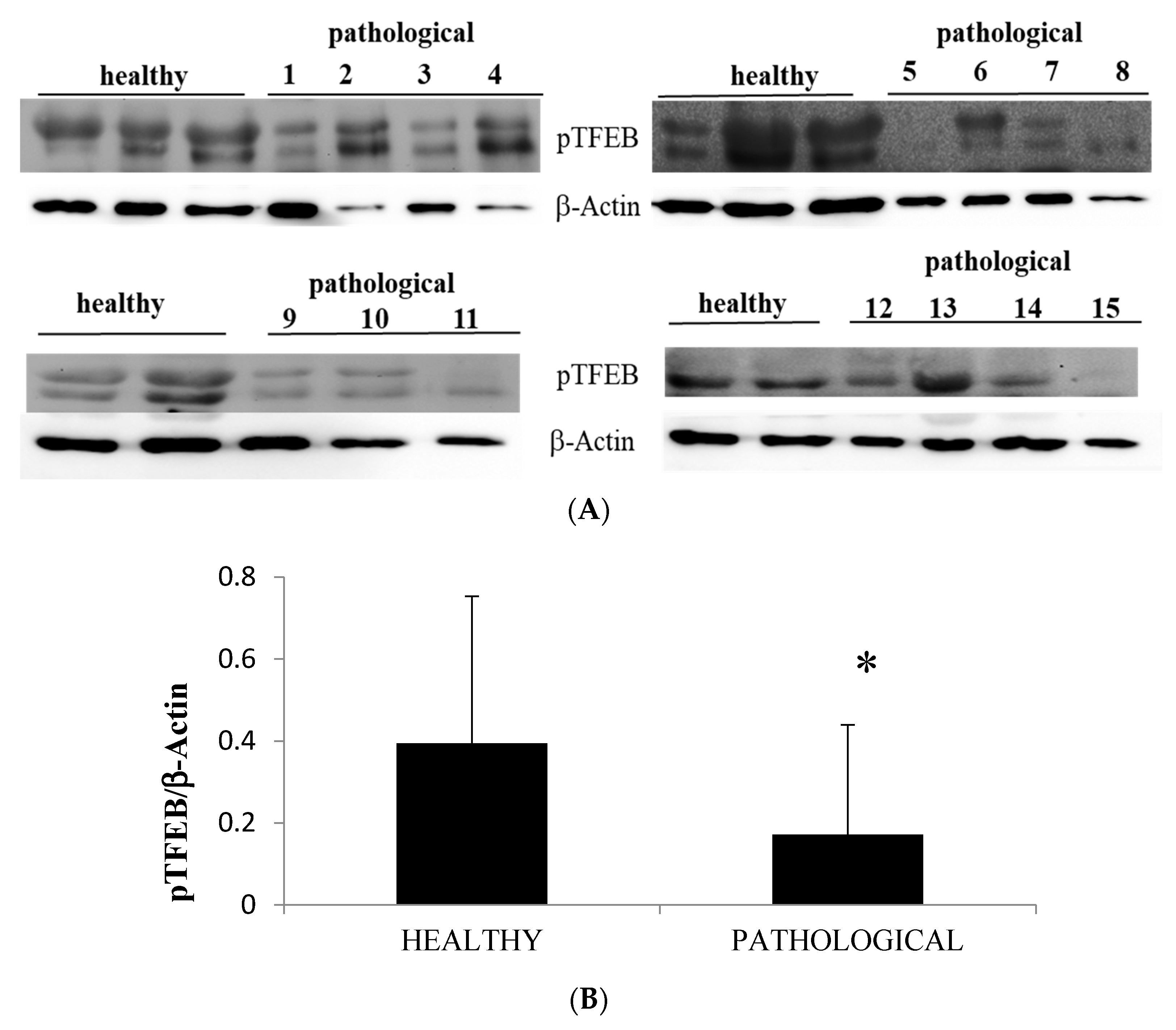 Pathogens 09 00621 g011