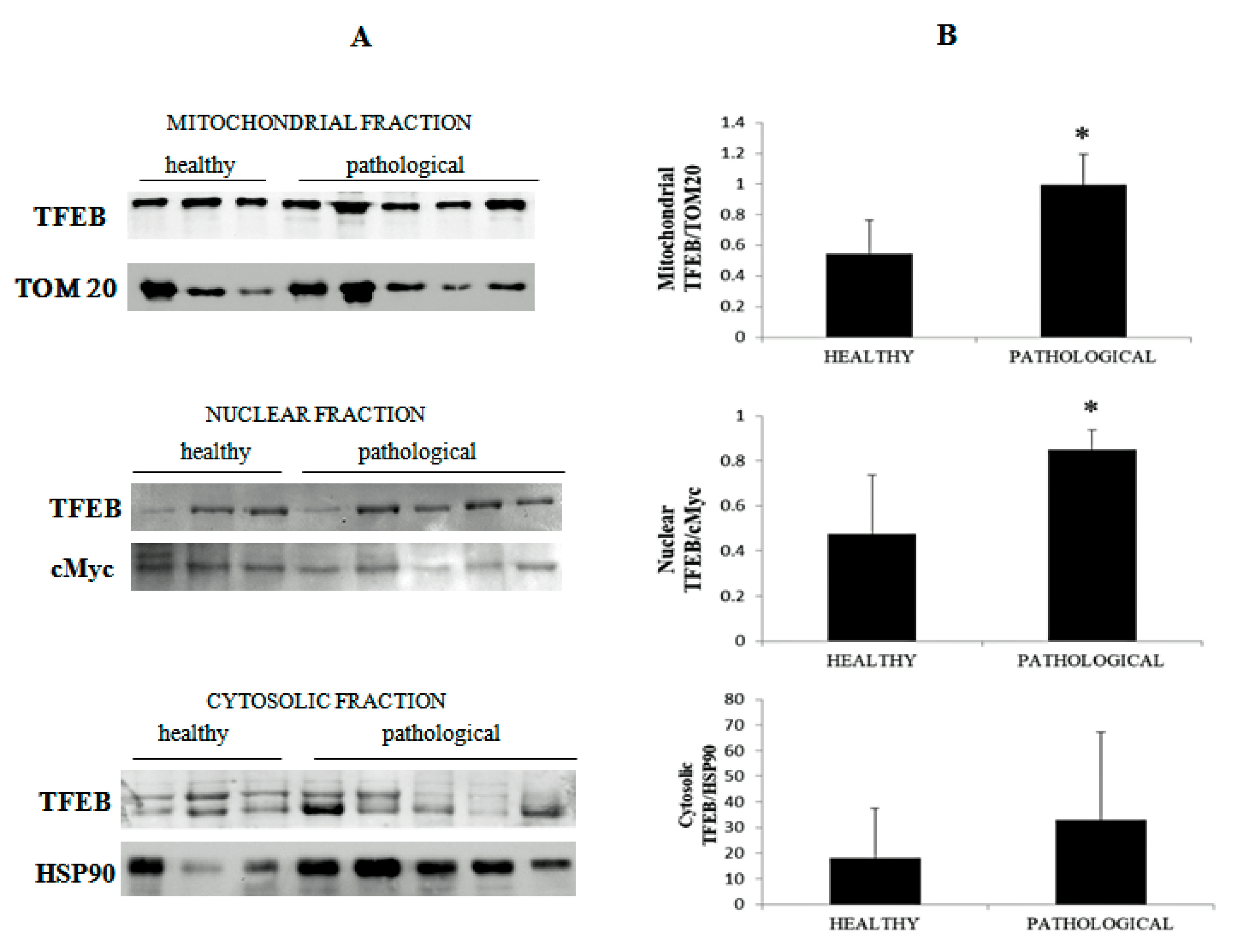 Pathogens 09 00621 g013