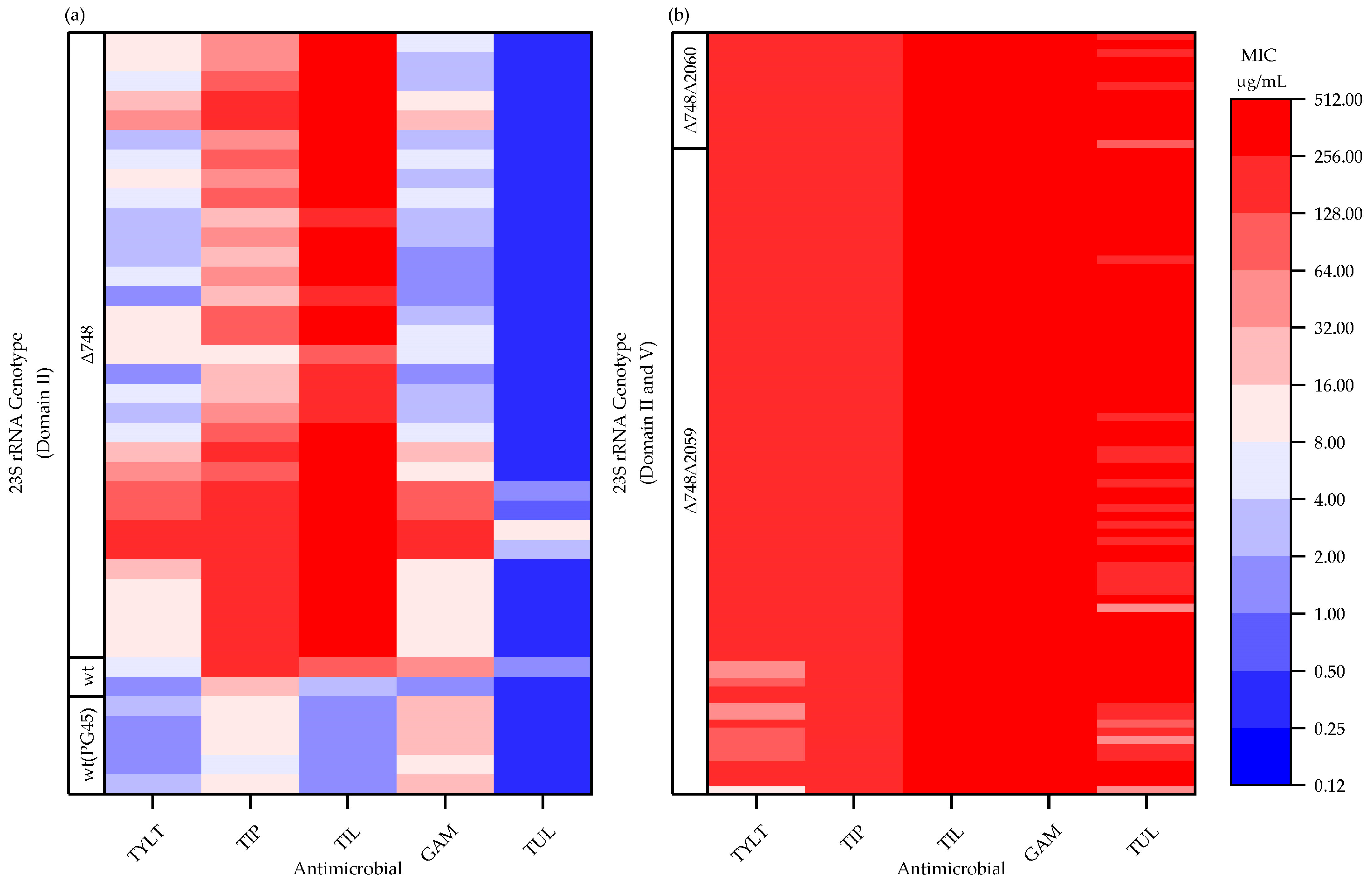 Pathogens 09 00622 g001