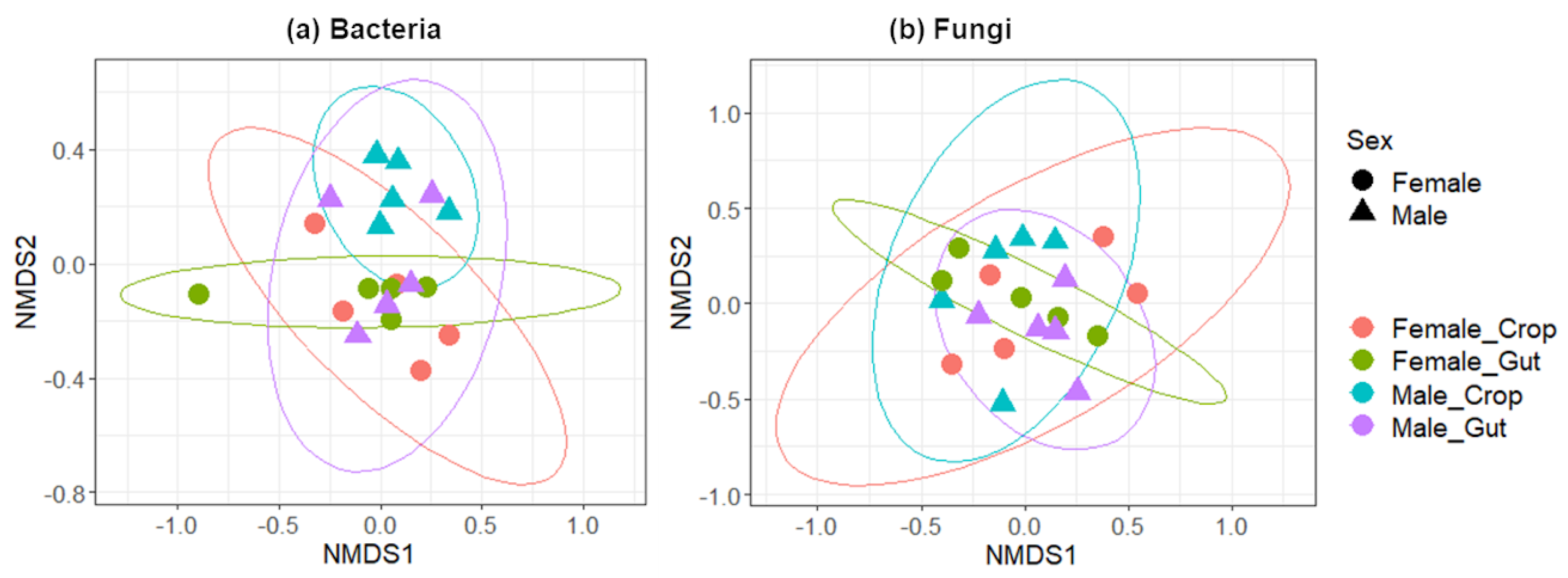 Pathogens 09 00628 g001