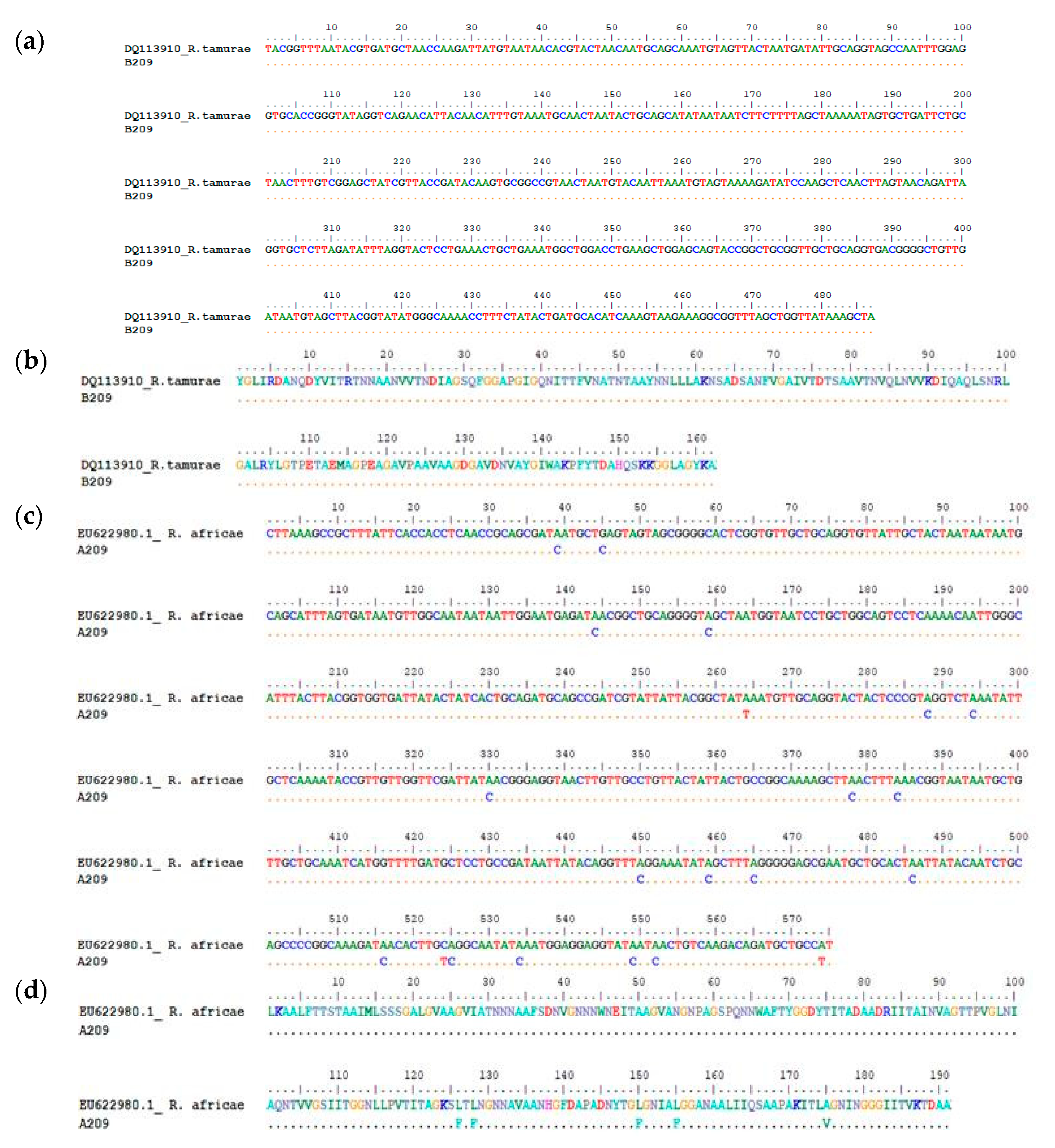 Pathogens 09 00631 g003 Pathogens 09 00631 g003