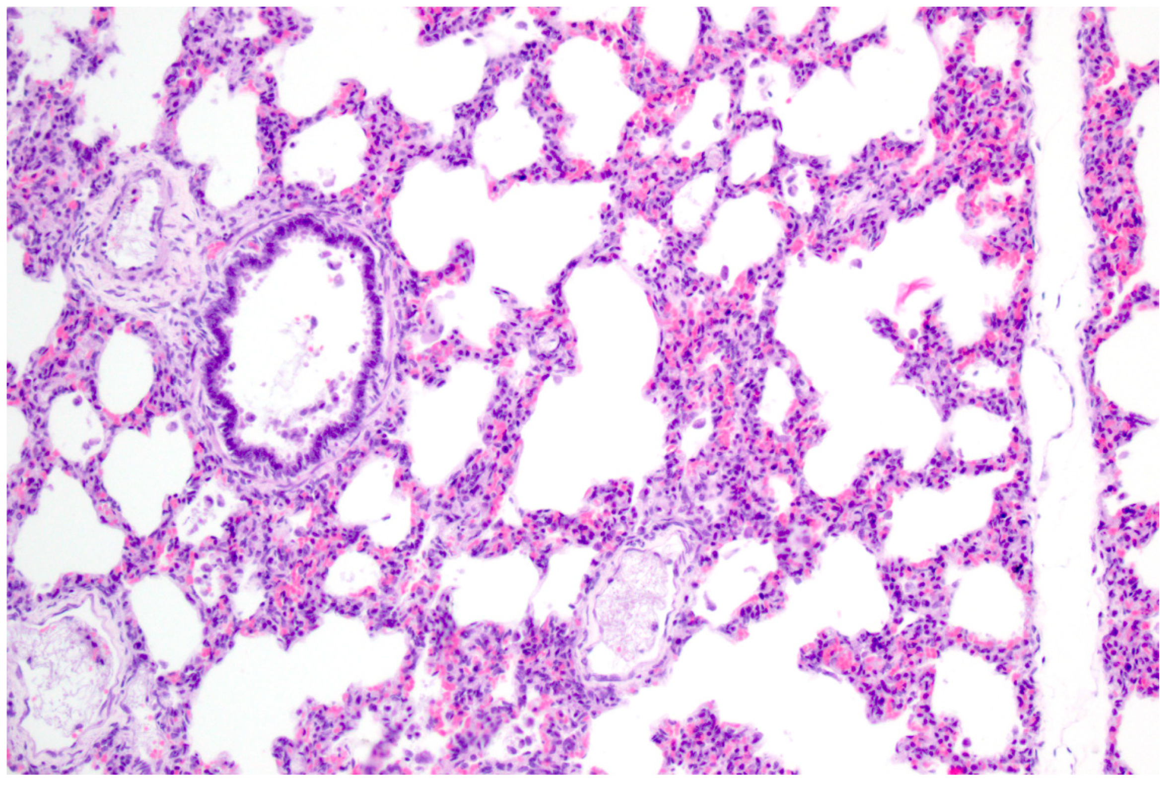 Pathogens 09 00633 g003 Pathogens 09 00633 g003