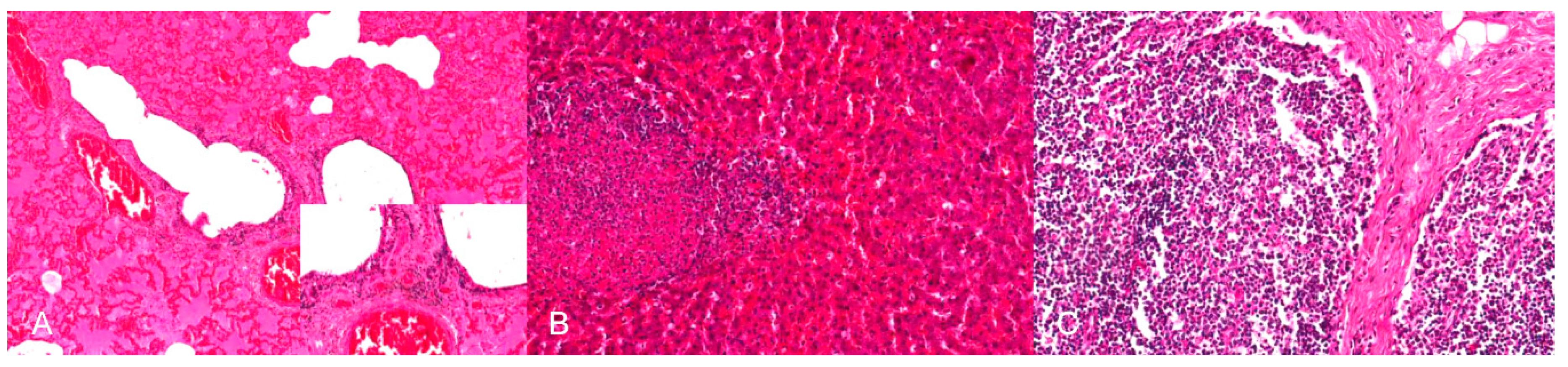 Pathogens 09 00633 g009 Pathogens 09 00633 g009