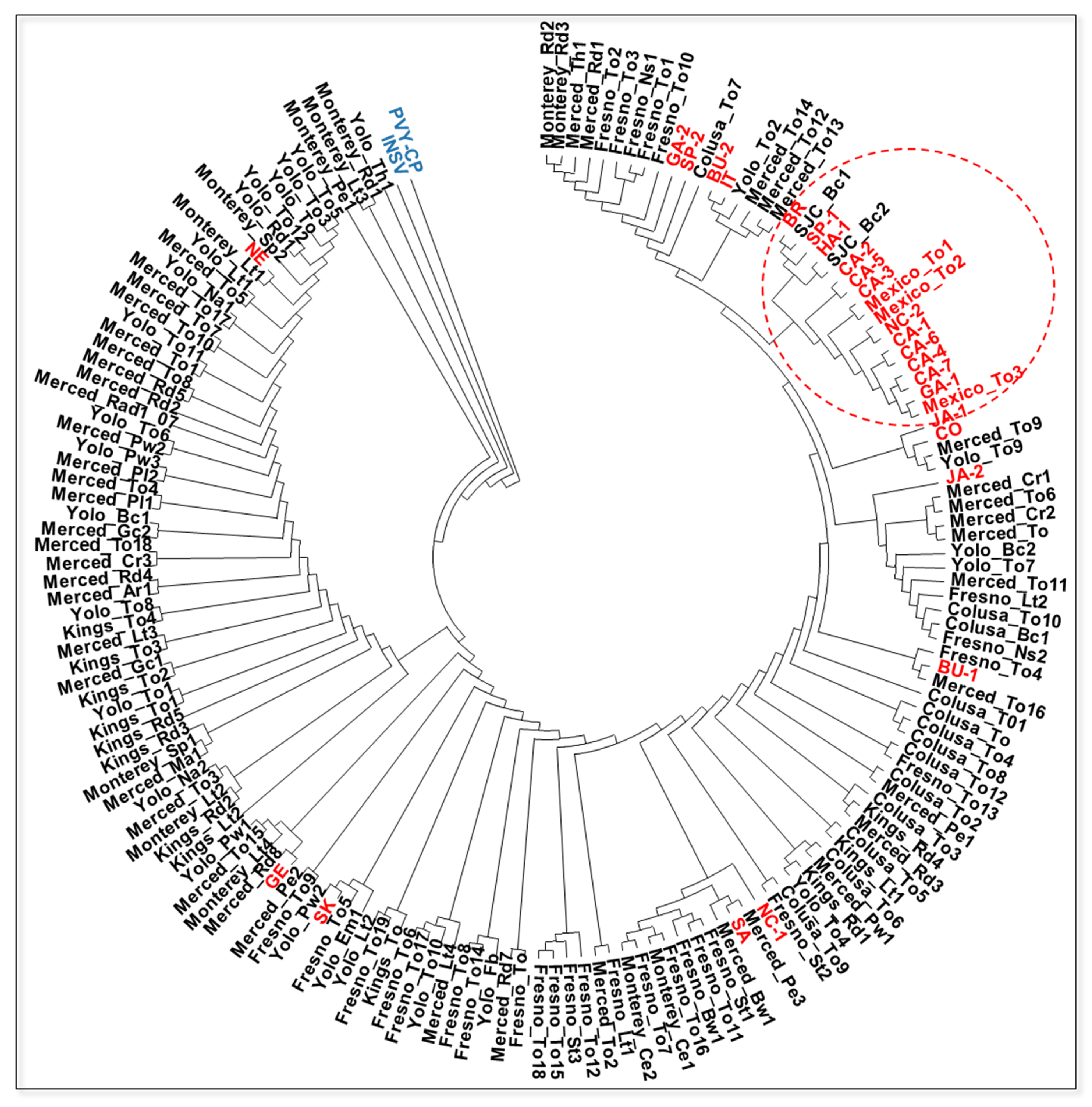 Pathogens 09 00636 g007 Pathogens 09 00636 g007