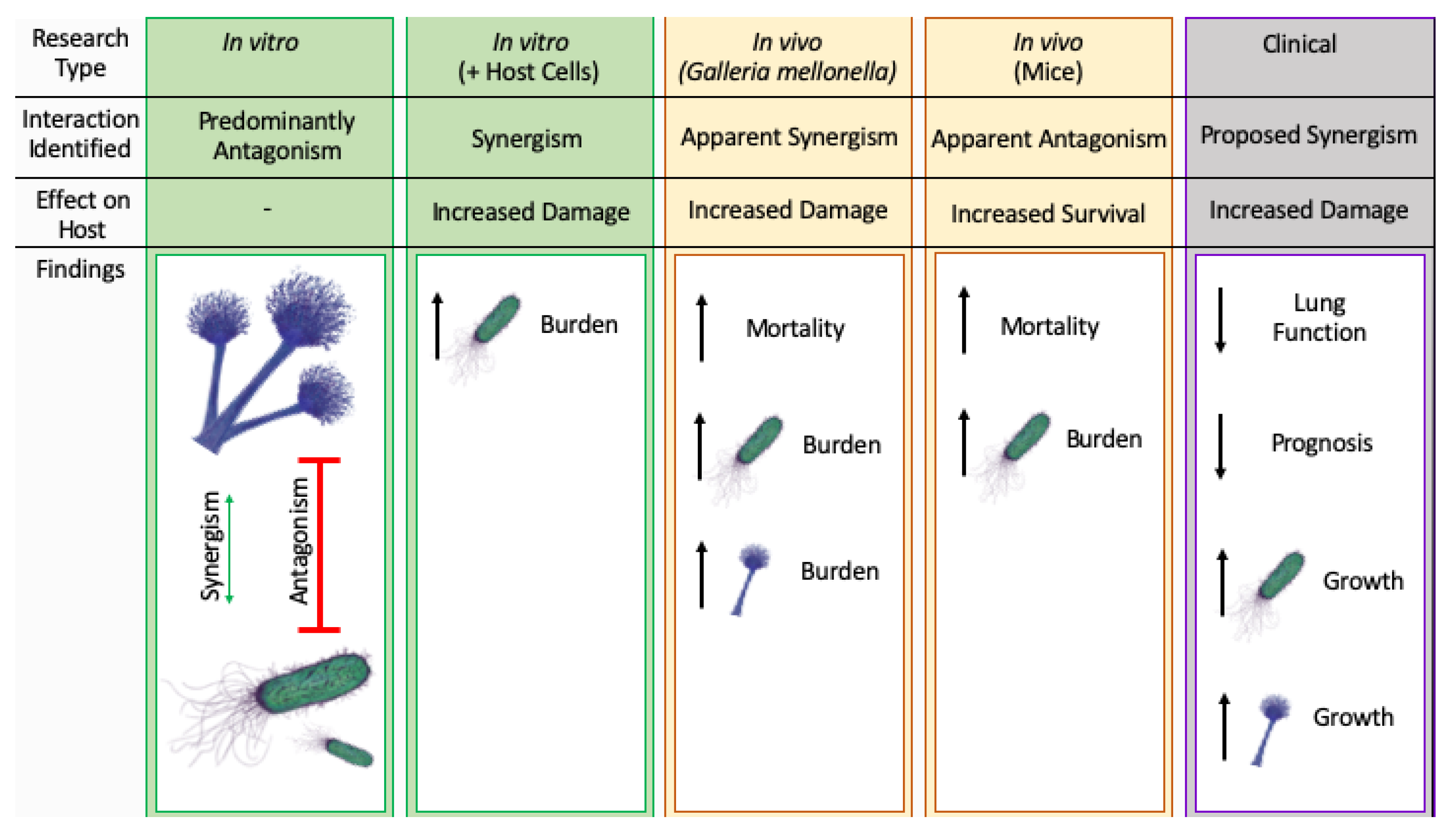 Pathogens 09 00639 g001