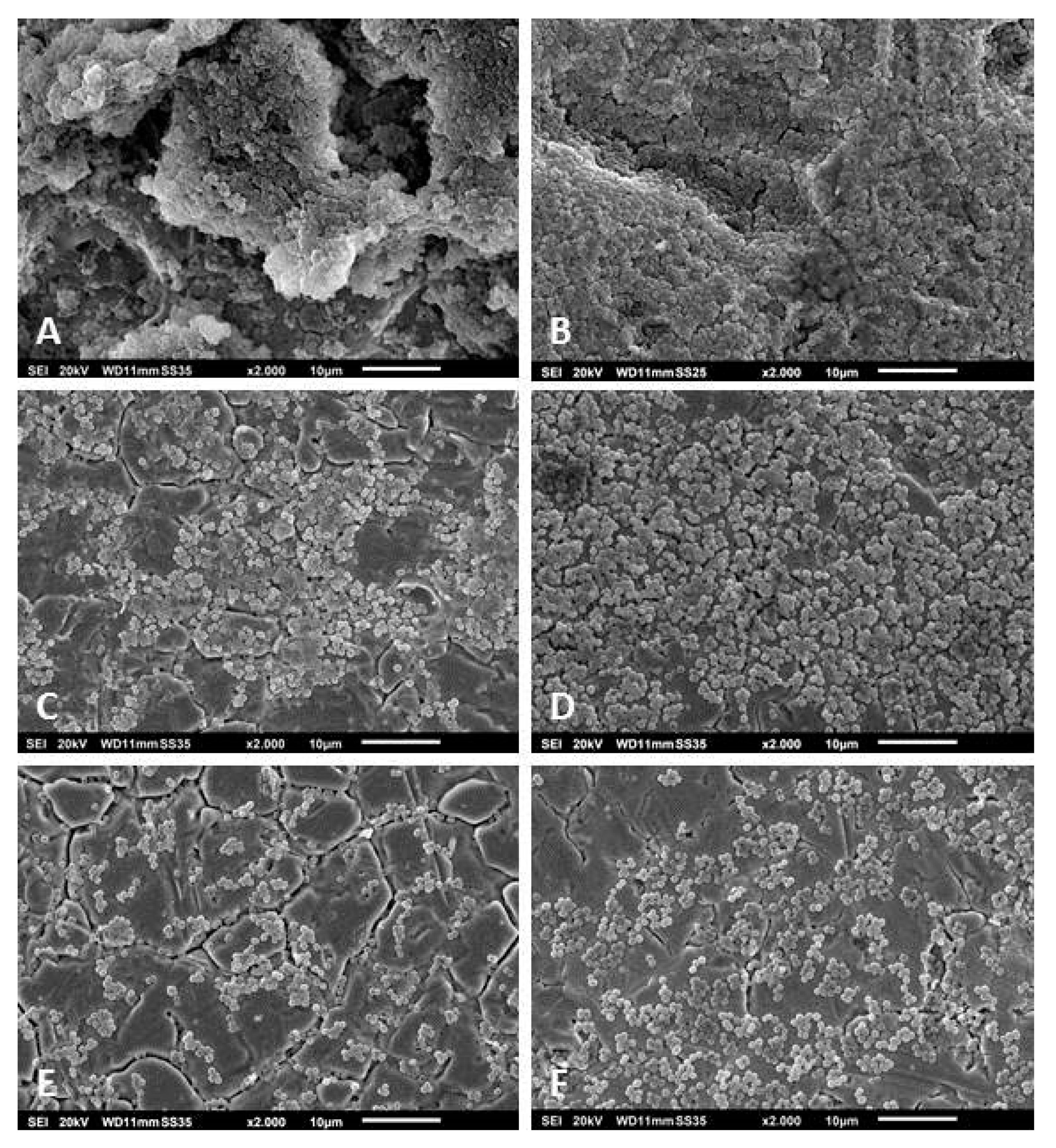 Pathogens 09 00649 g002