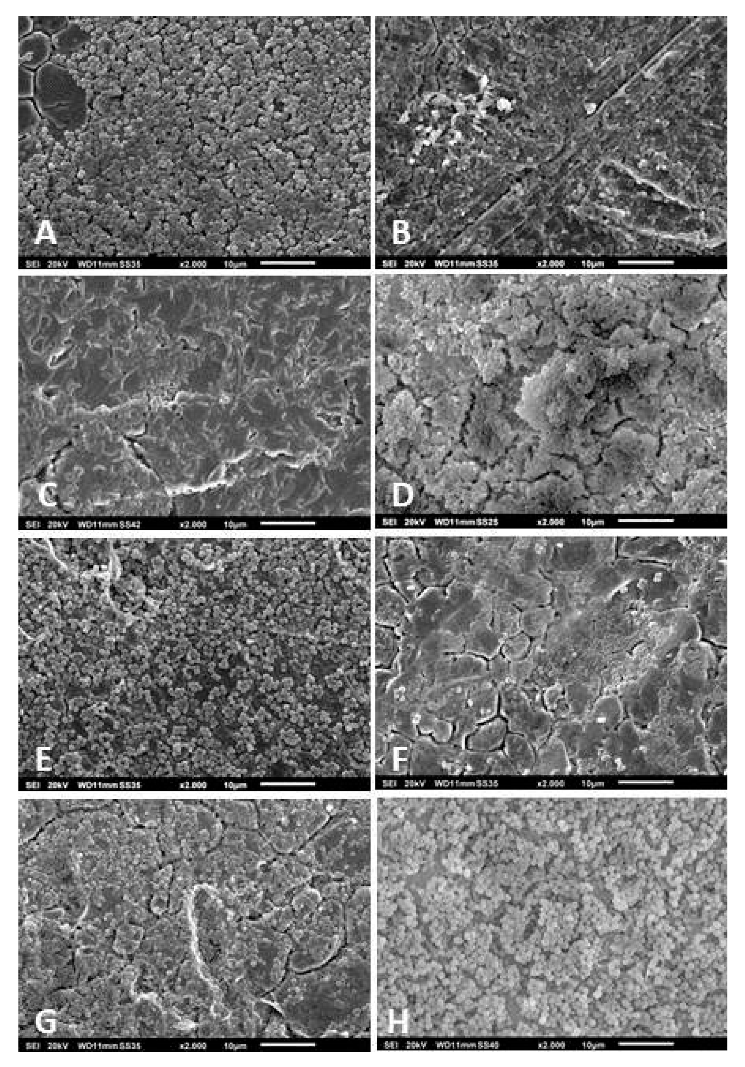 Pathogens 09 00649 g004