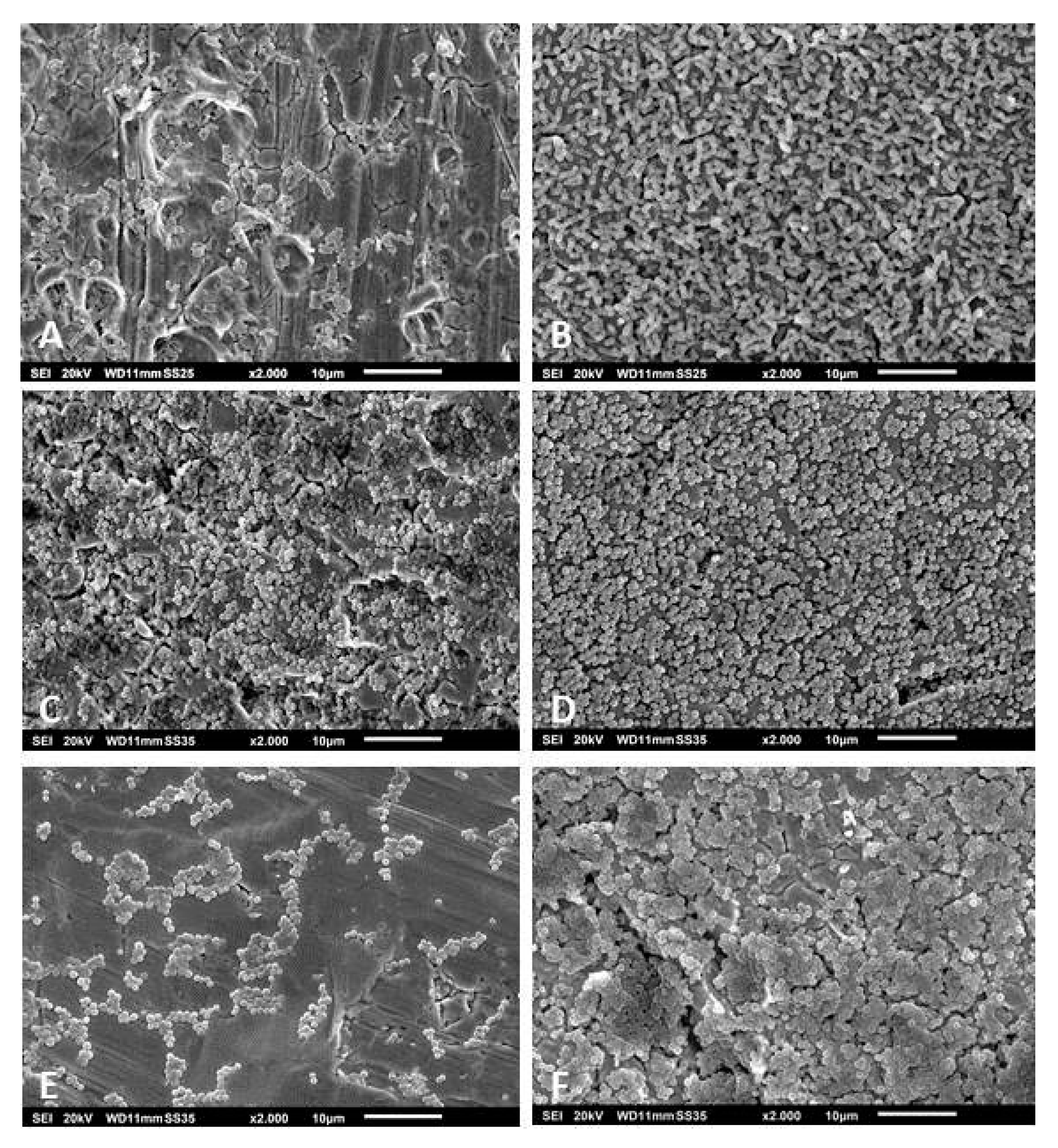 Pathogens 09 00649 g005