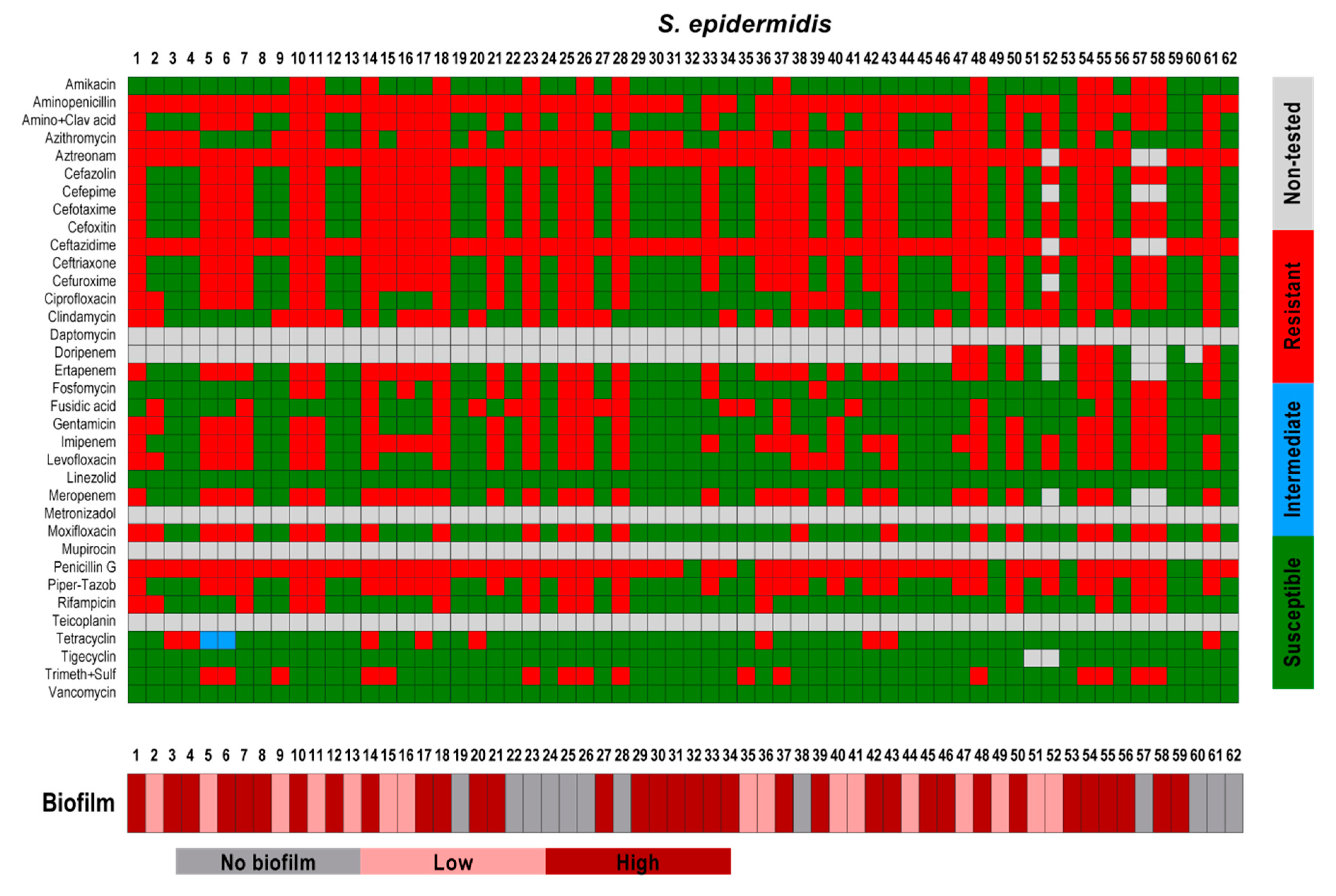Pathogens 09 00649 g006