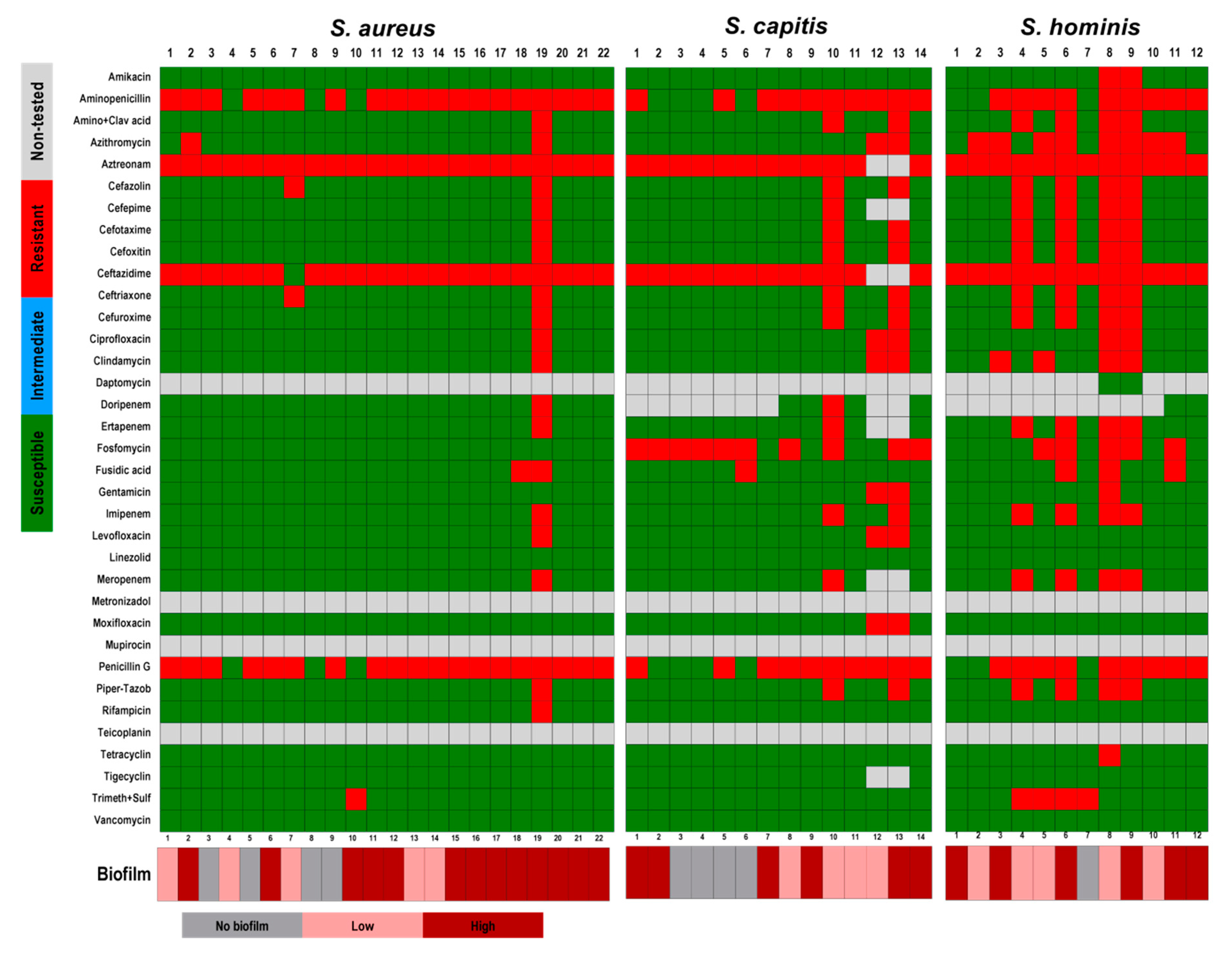 Pathogens 09 00649 g007