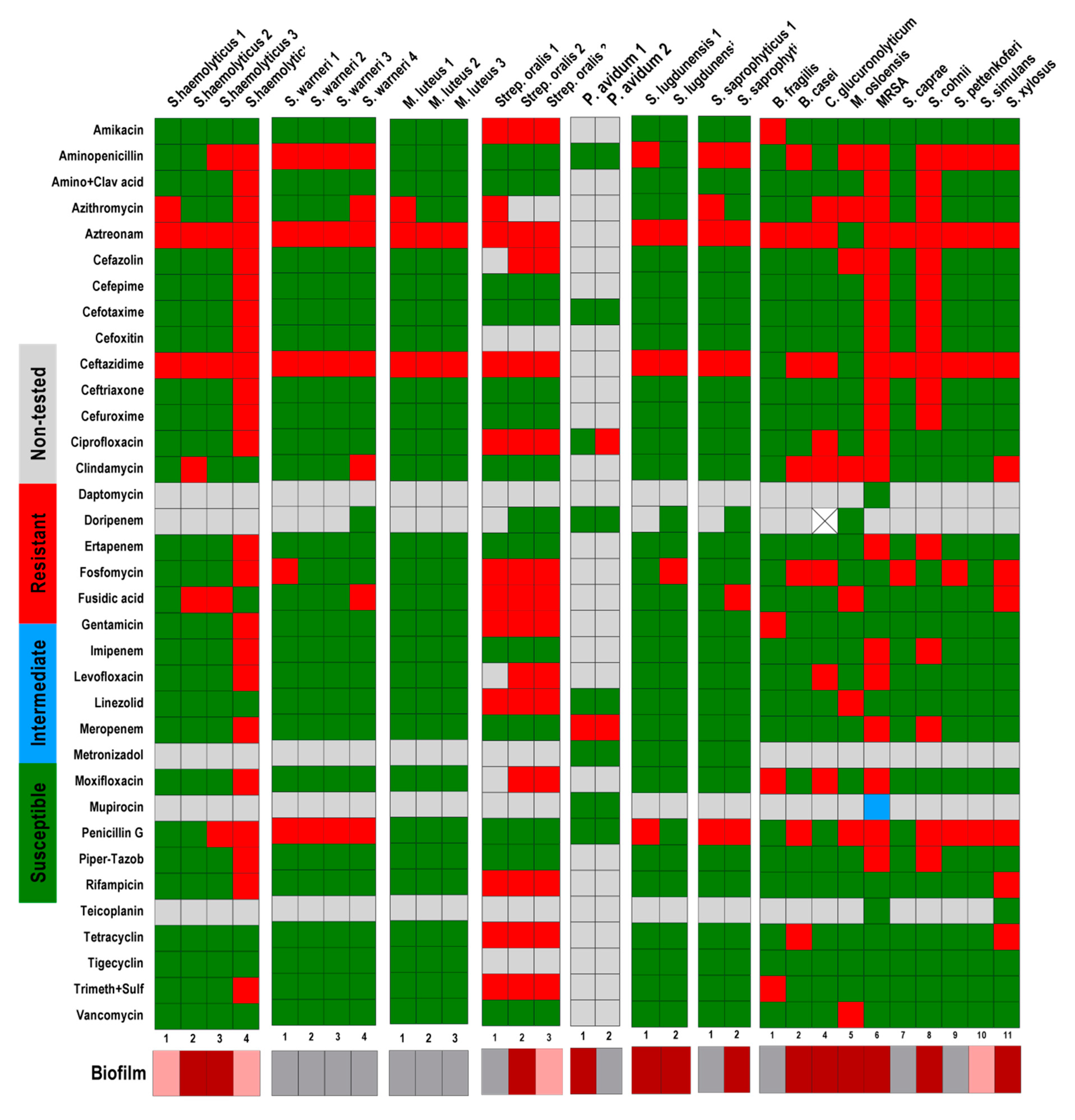 Pathogens 09 00649 g008