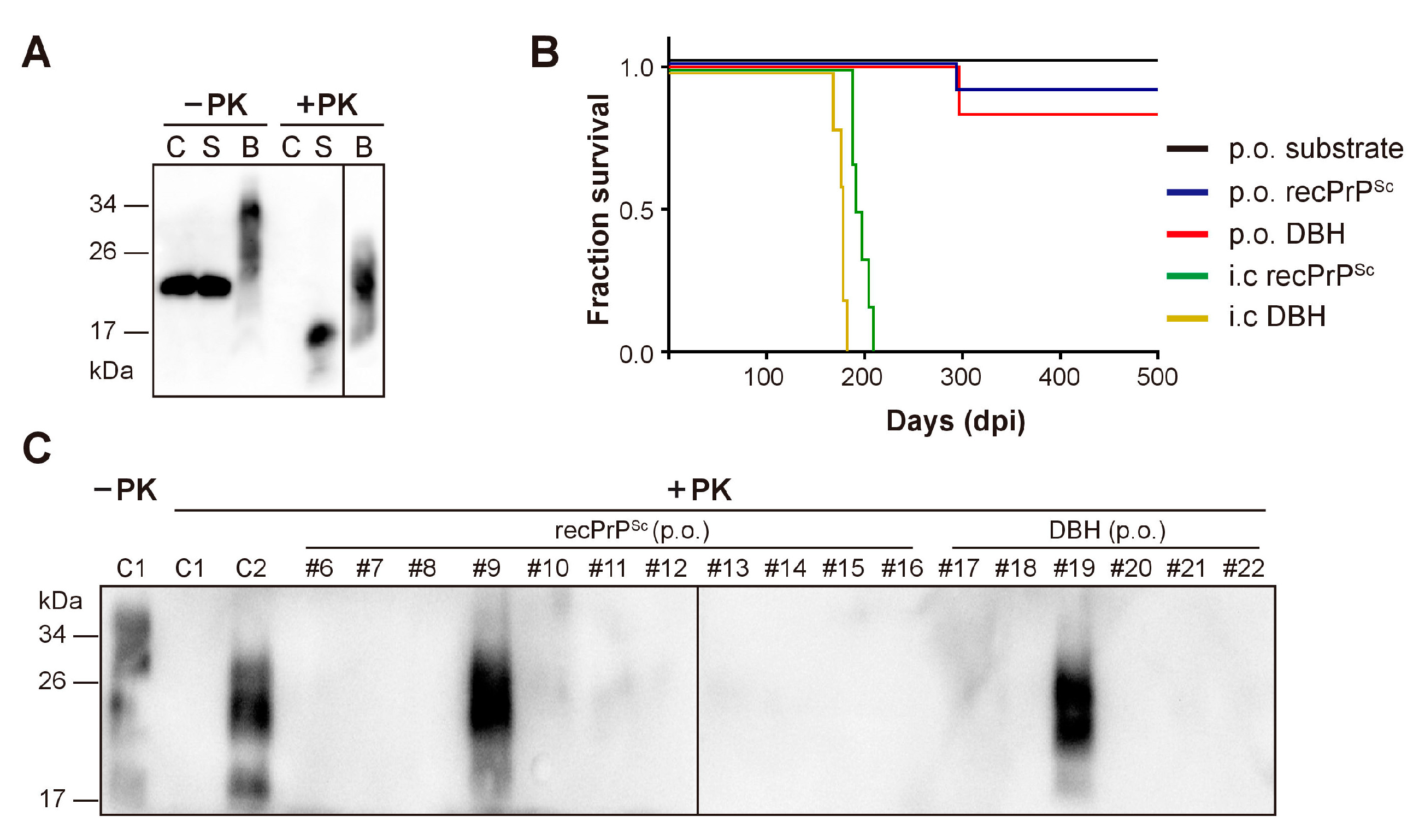 Pathogens 09 00653 g001