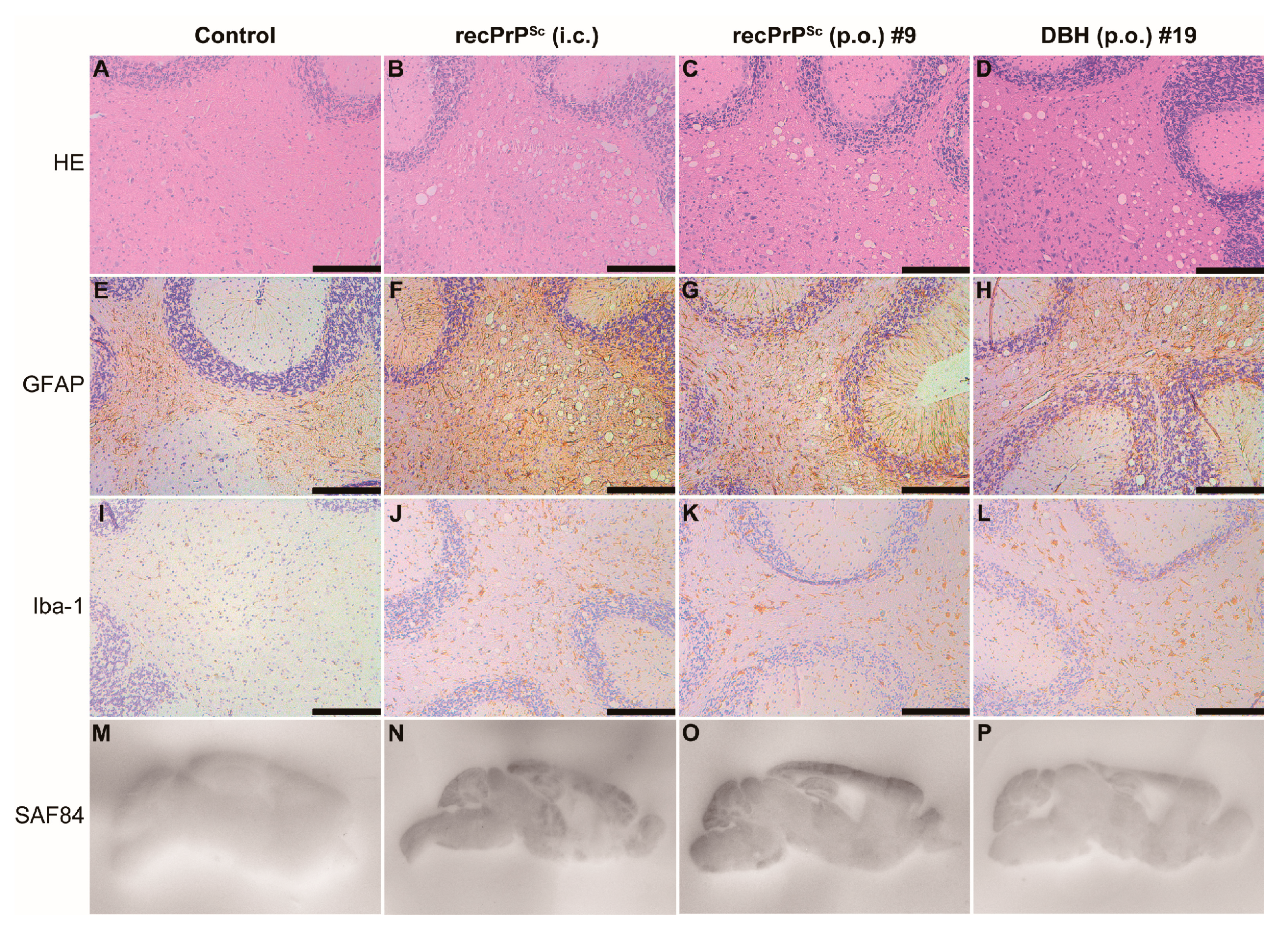 Pathogens 09 00653 g002