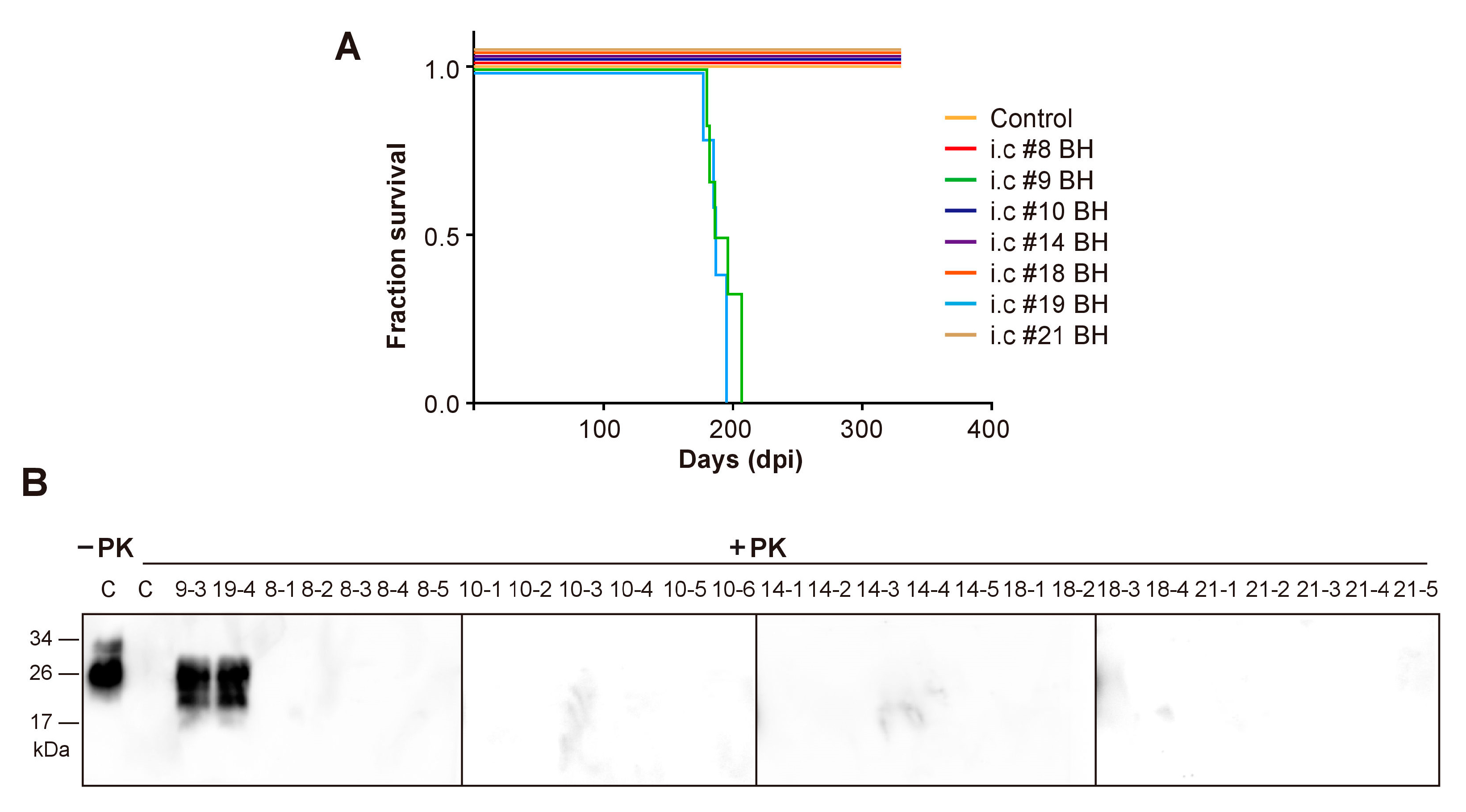 Pathogens 09 00653 g003